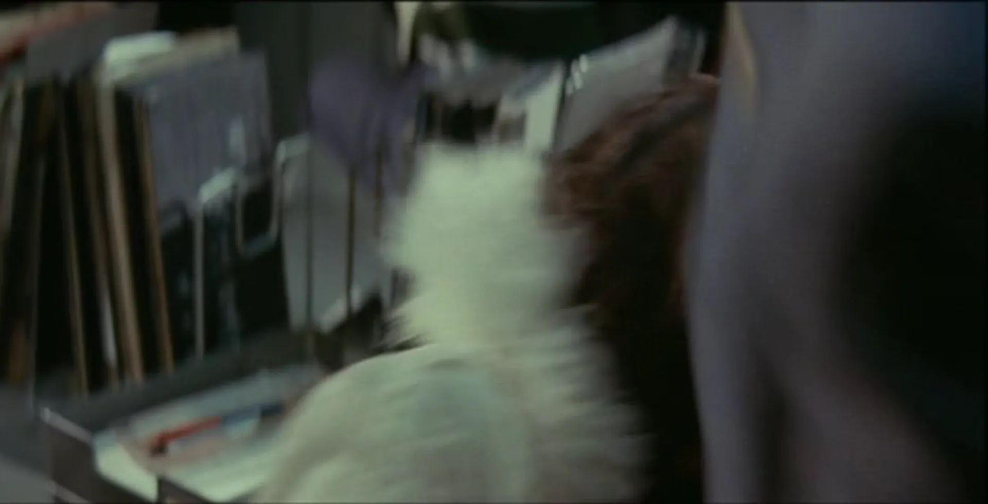 Girl Boss Revenge: Sukeban scene still 1