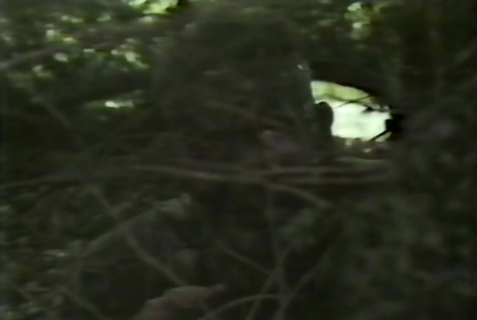 Frankenstein scene still 5
