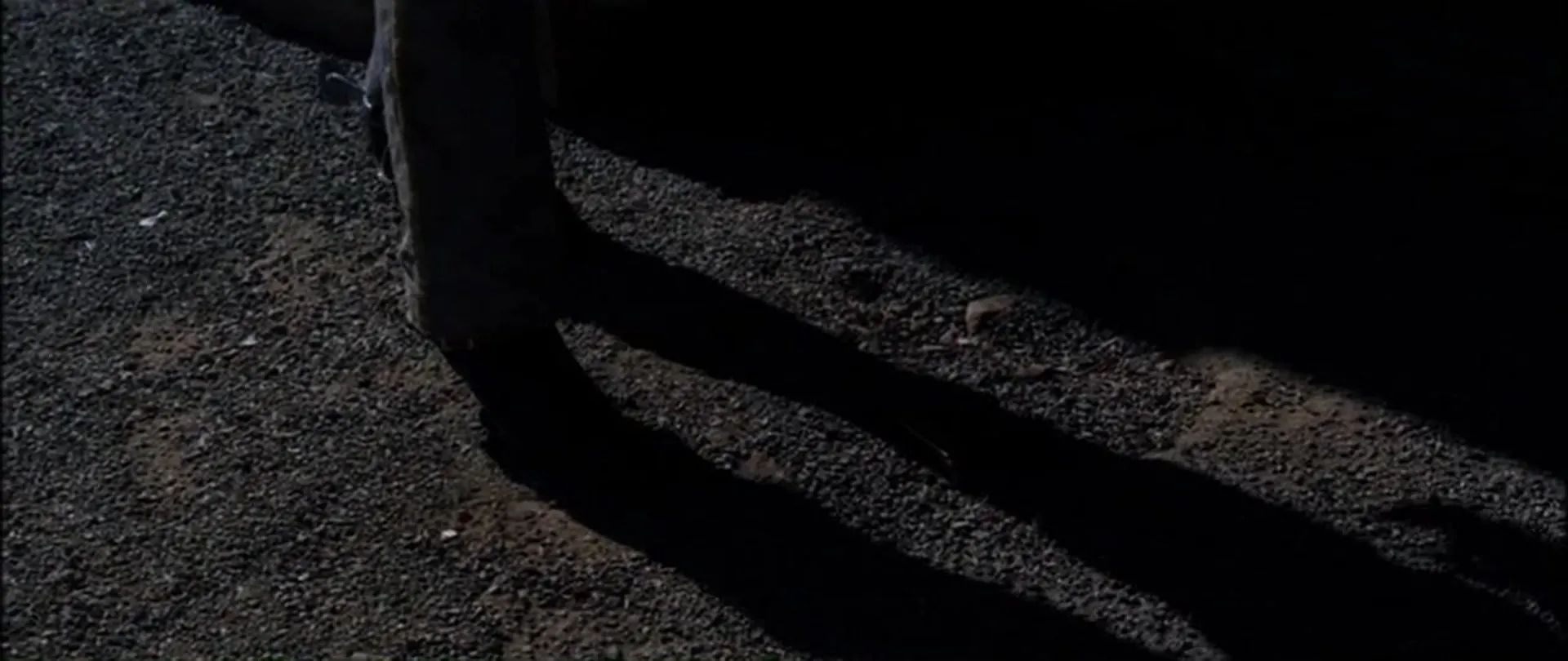 The Deadly Companions scene still 3