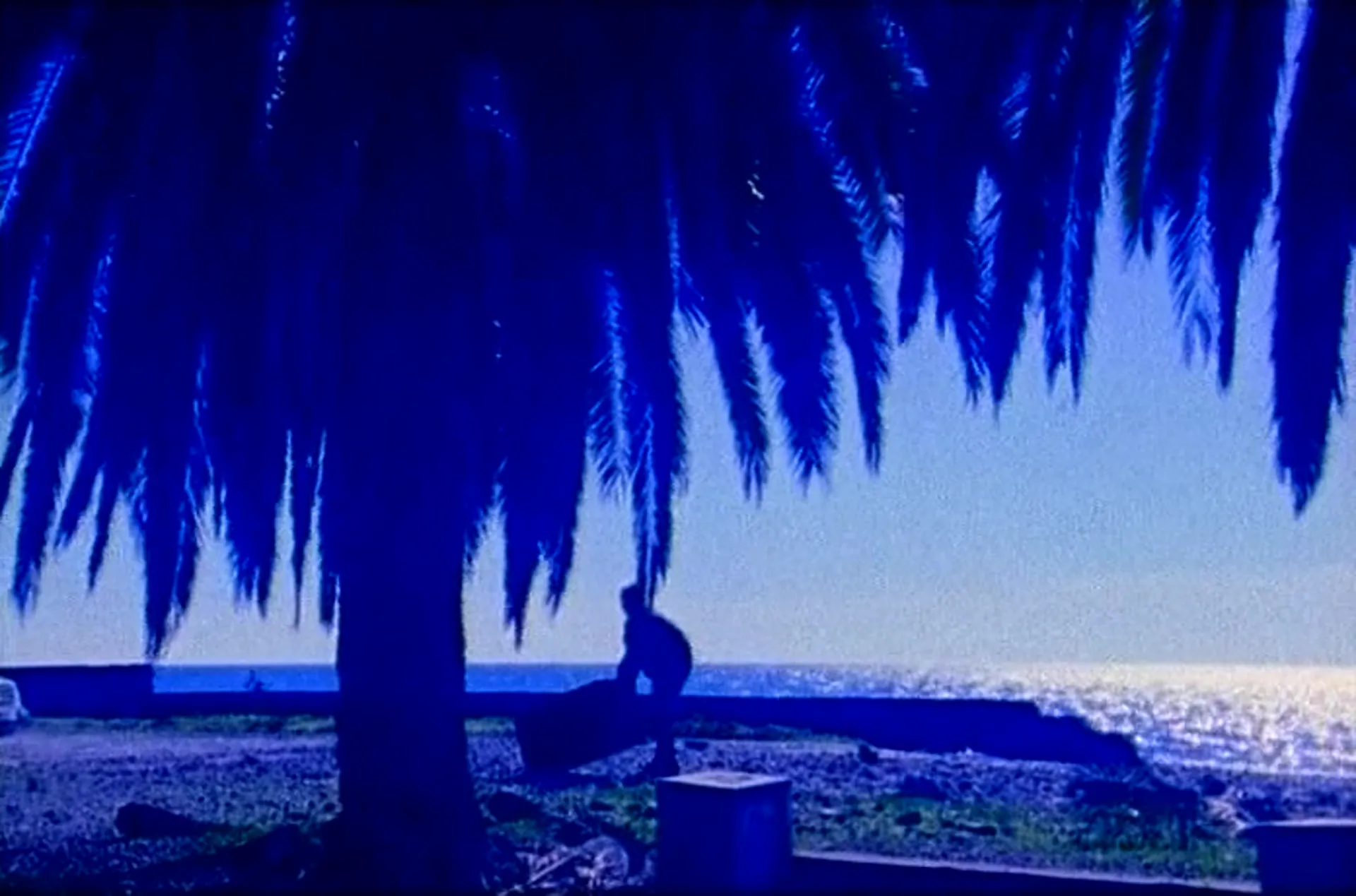 Lust for Frankenstein scene still 5