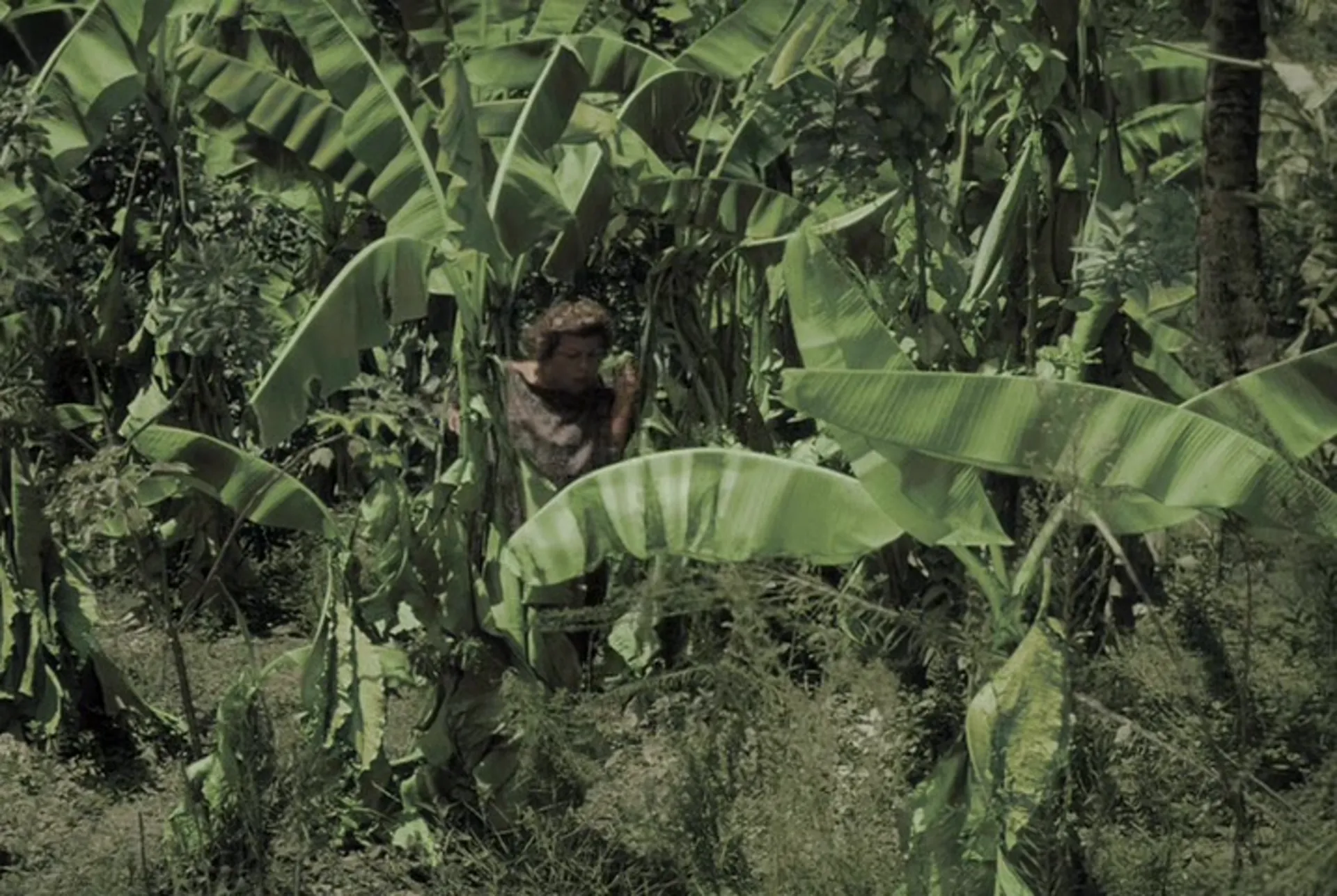 Creature from the Haunted Sea scene still 7