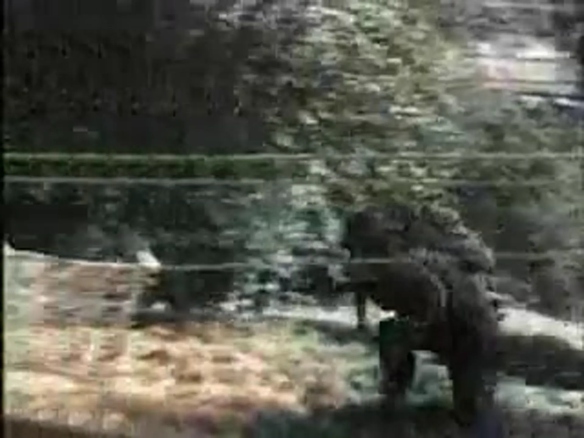 Carter's Army scene still 6