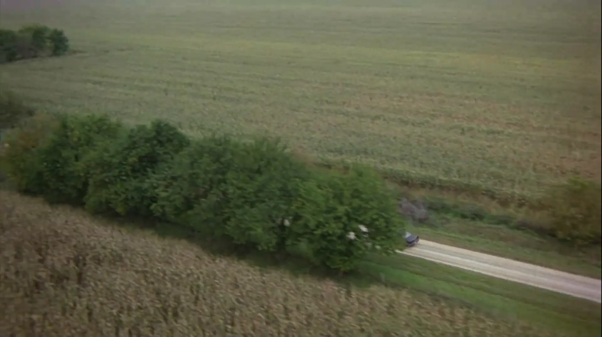 The Hunter scene still 6