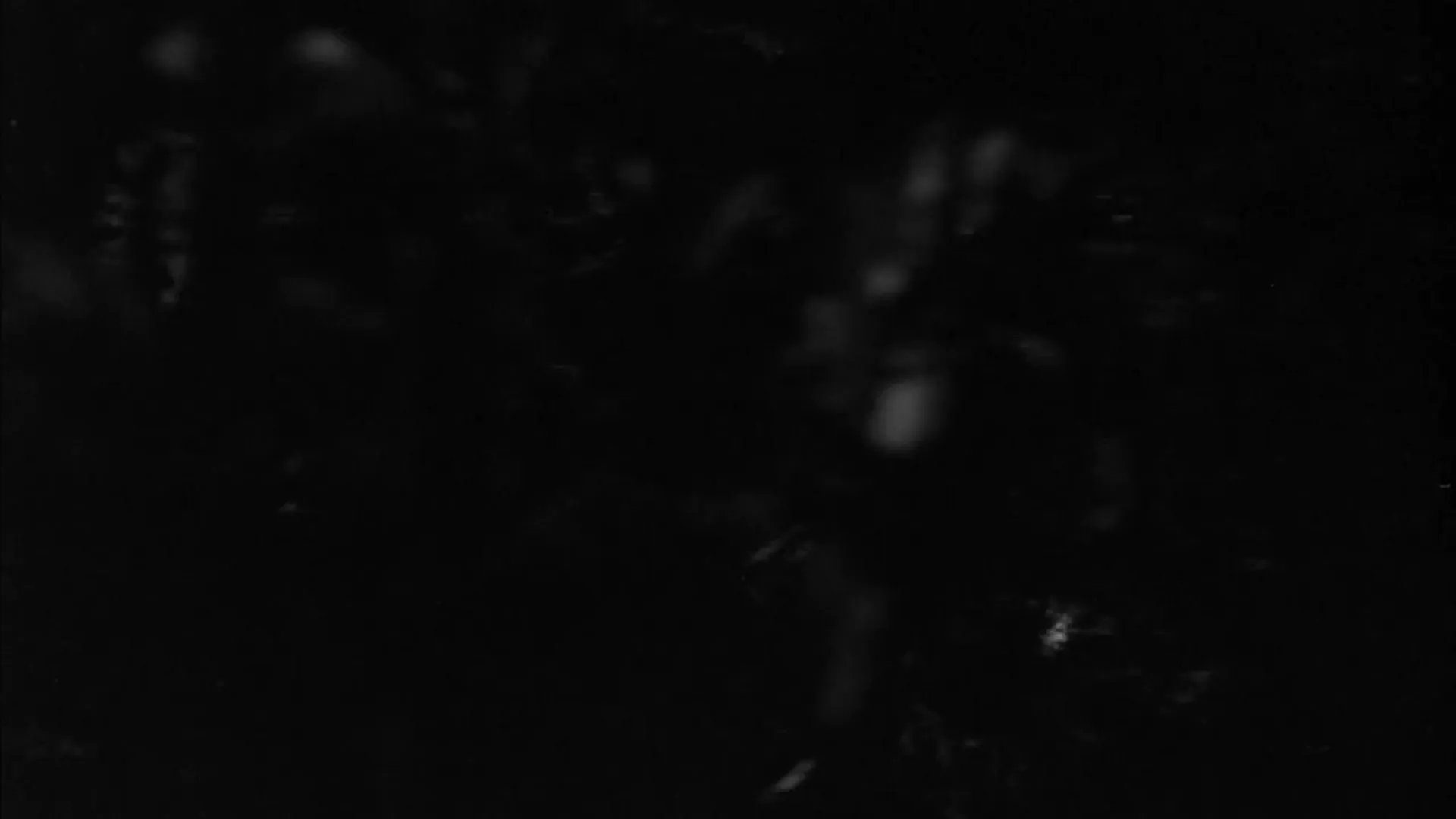 The Slaughter of the Vampires scene still 2