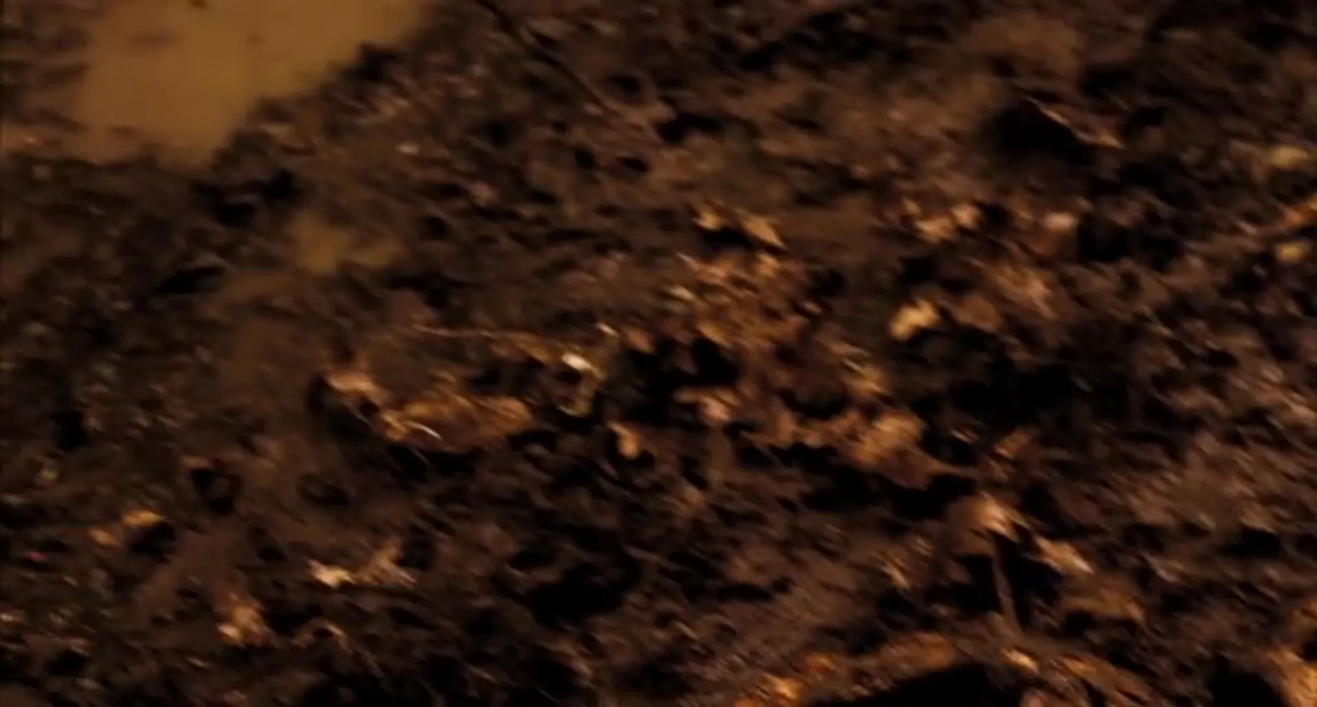 Pumpkinhead: Ashes to Ashes scene still 2