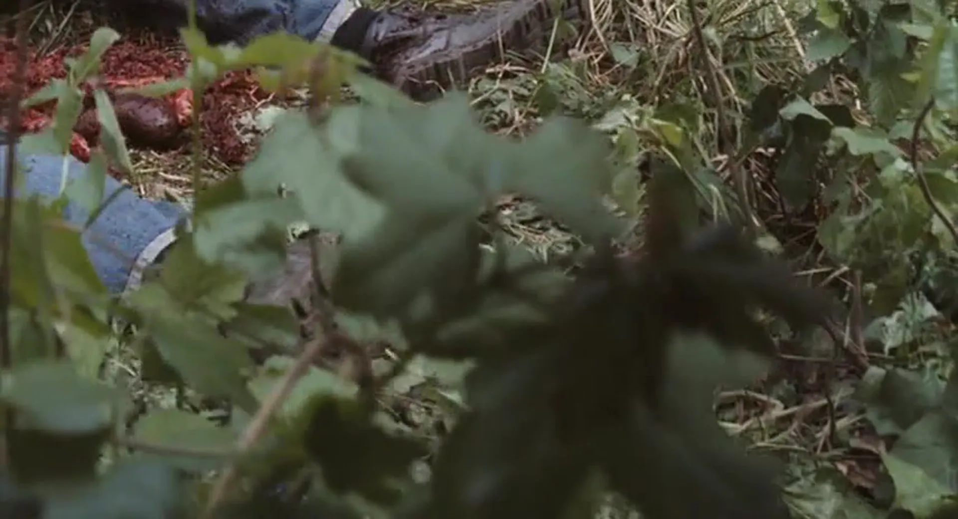 Pumpkinhead: Blood Feud scene still 5