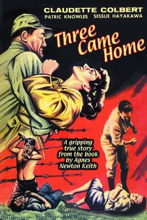 Three Came Home