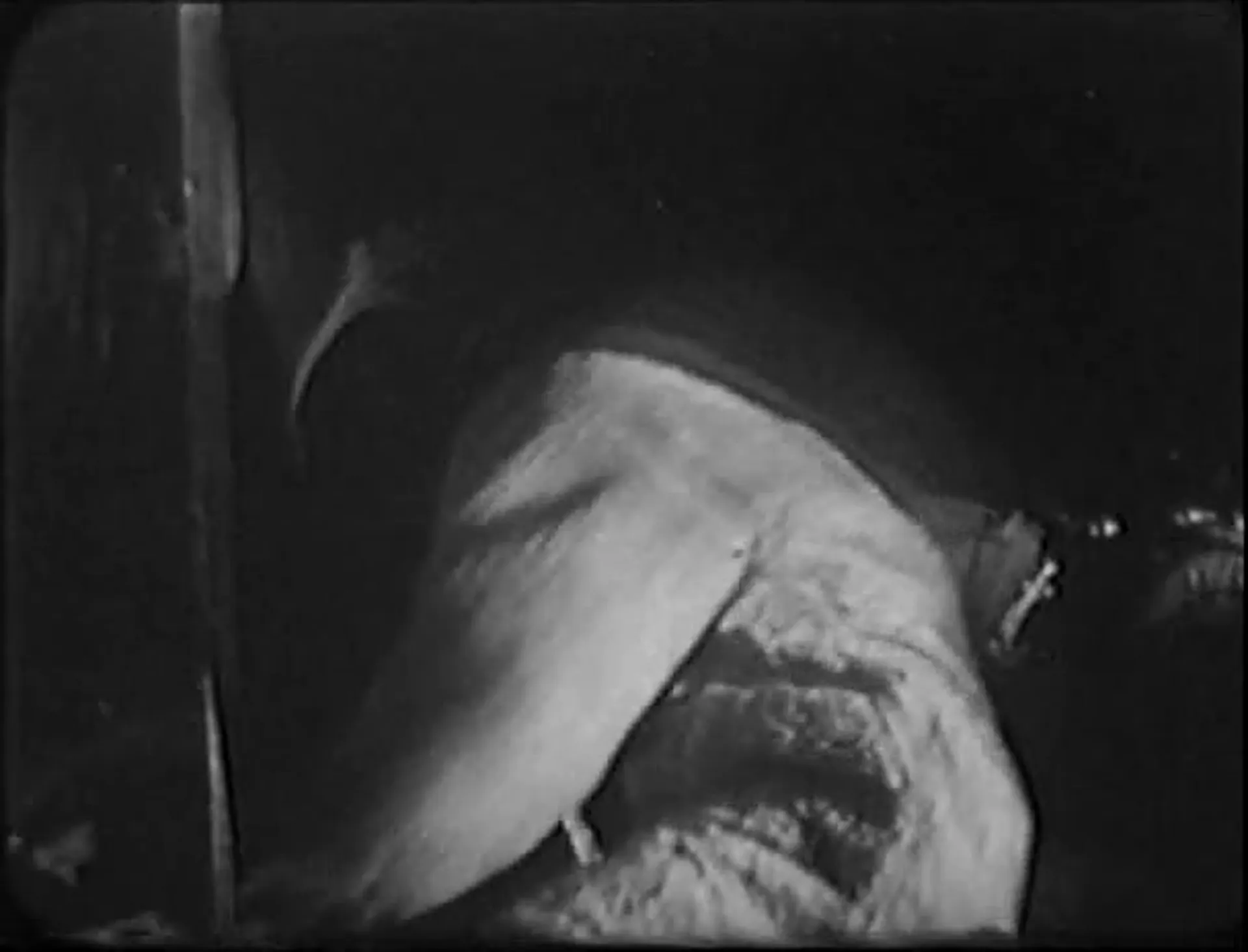 The Snow Creature scene still 1