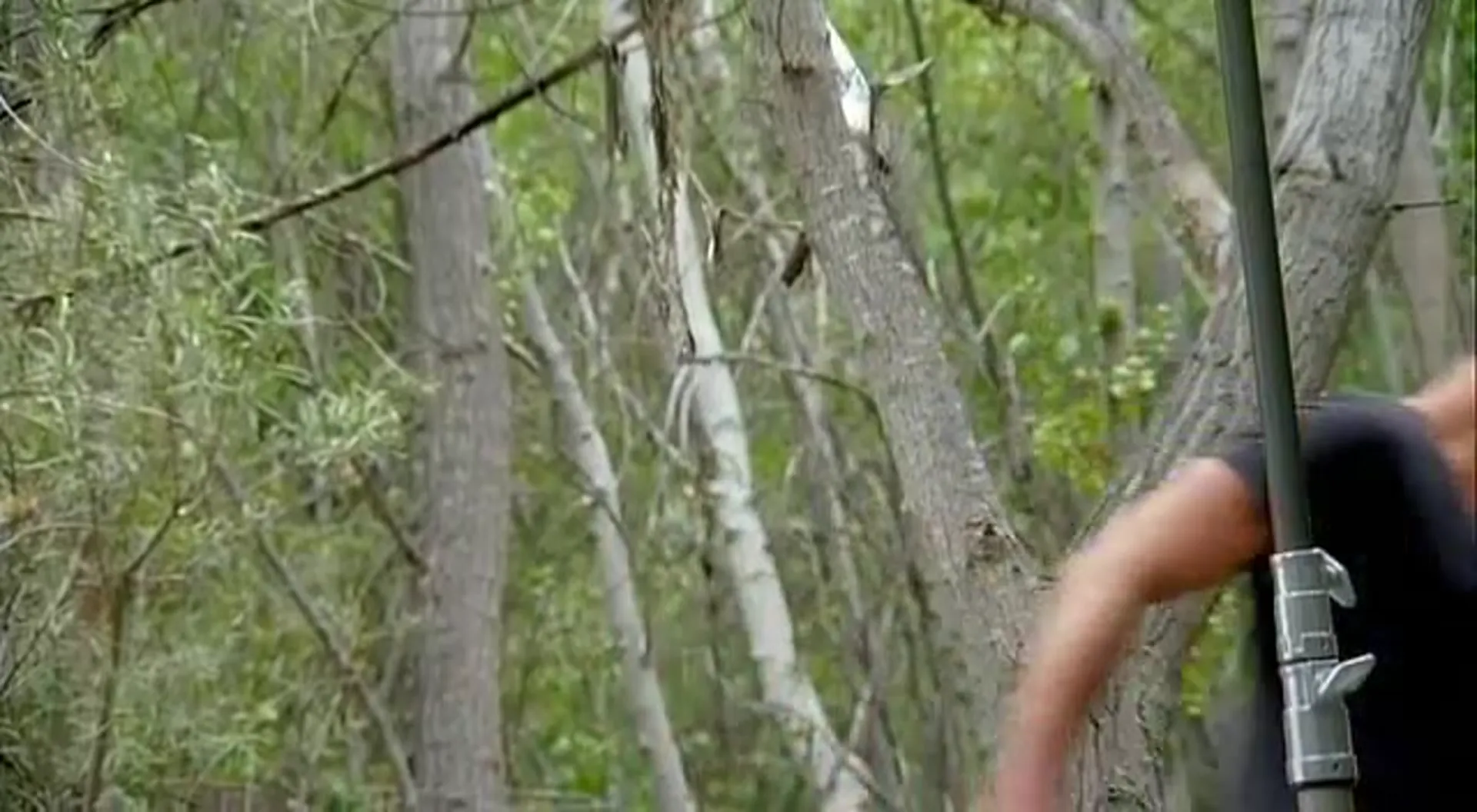 Return of the Killer Shrews scene still 3