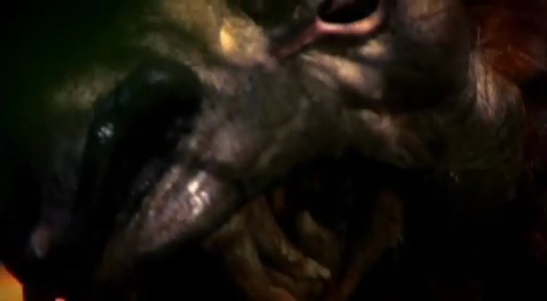 Return of the Killer Shrews scene still 2