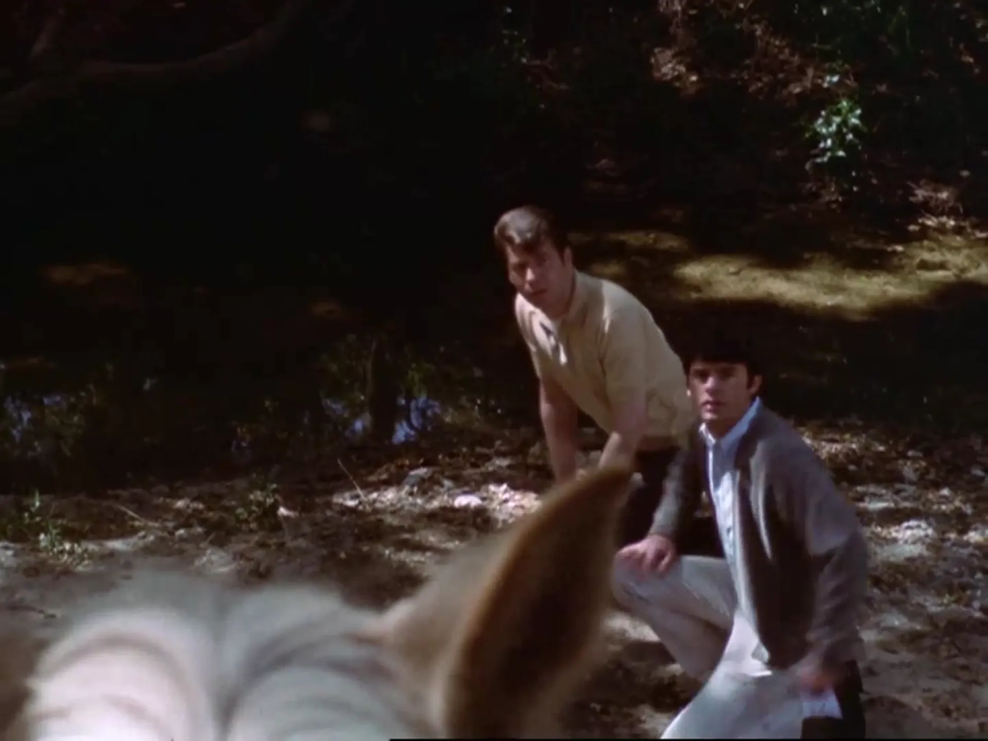 Equinox scene still 5