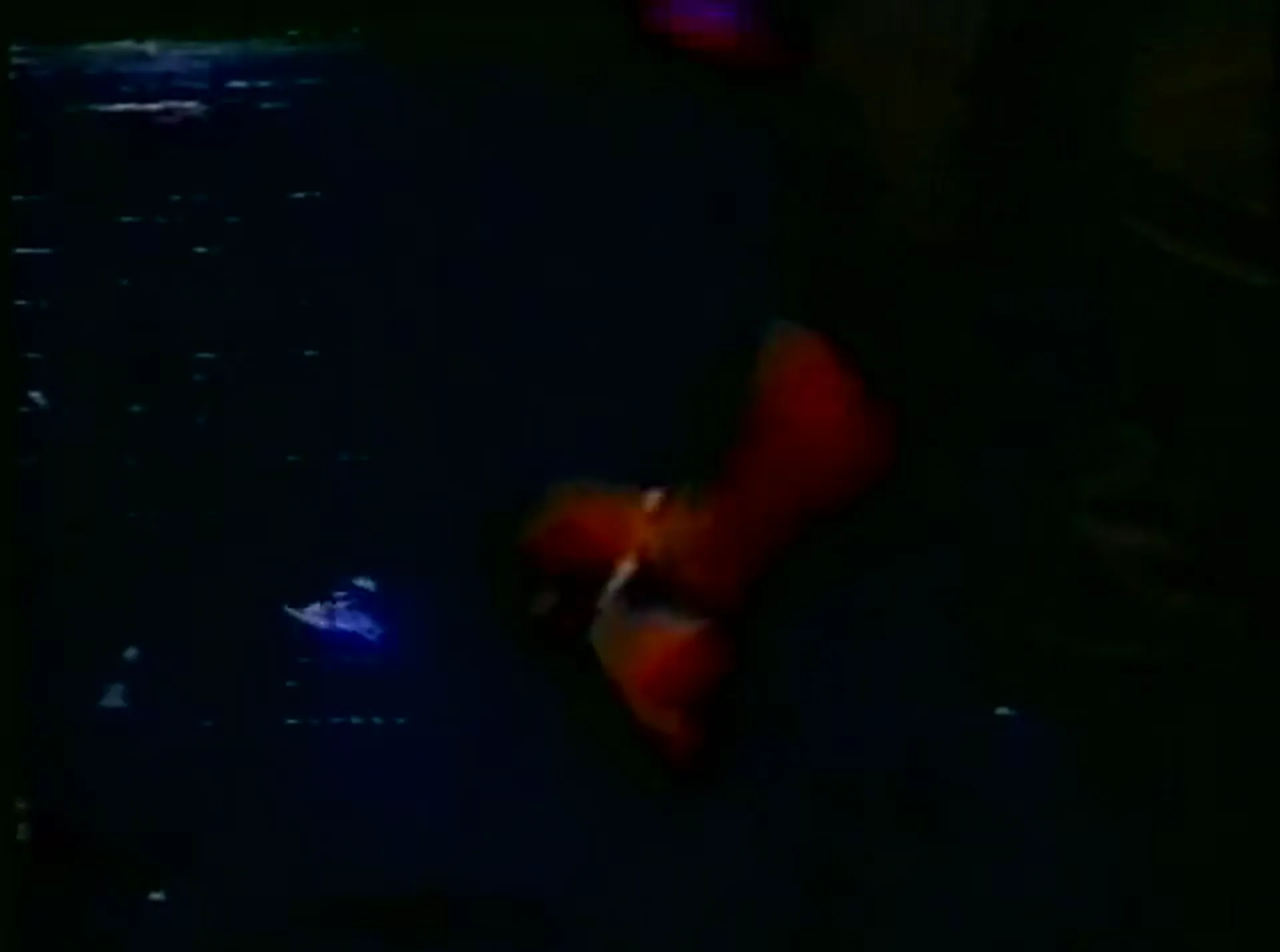 Commando Fury scene still 6