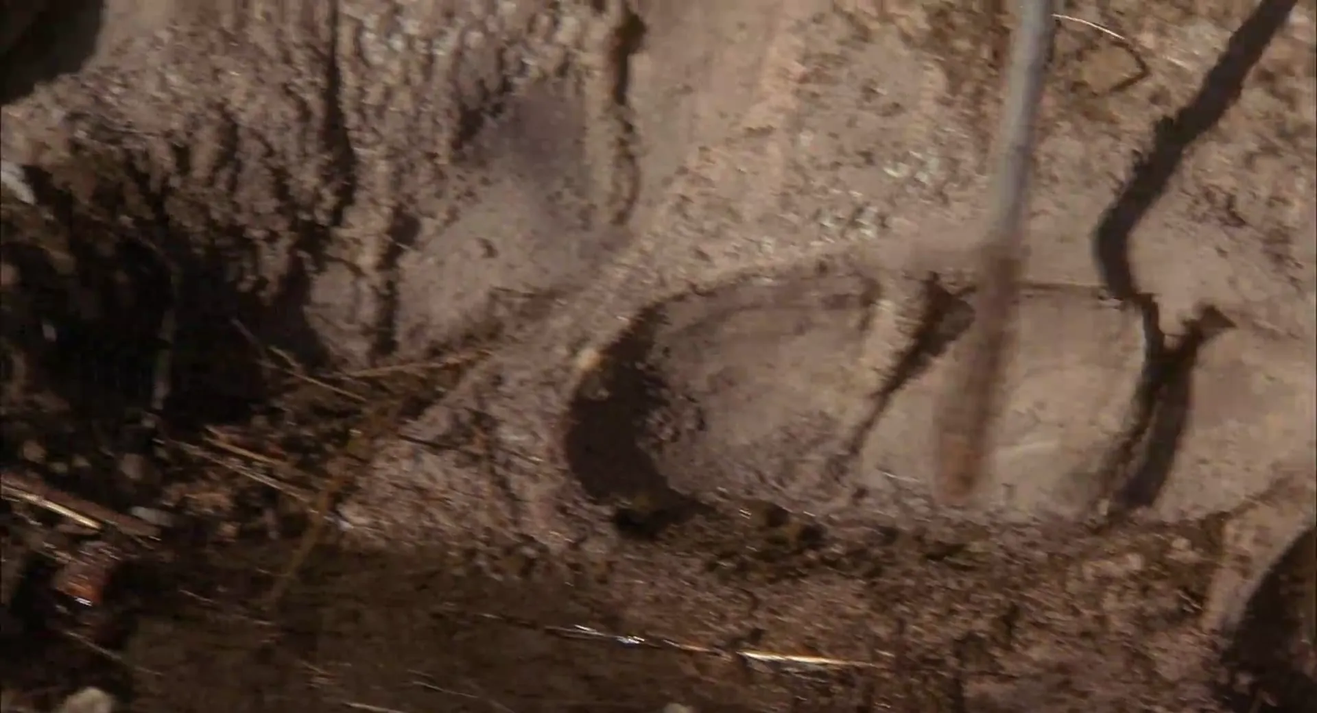 Tremors 4: The Legend Begins scene still 6