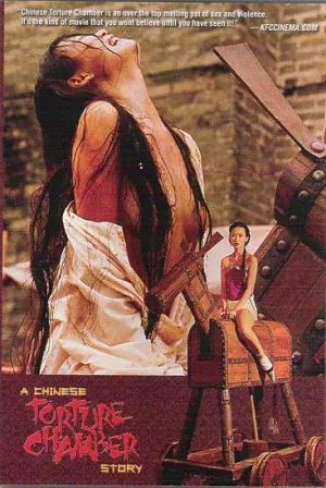 A Chinese Torture Chamber Story