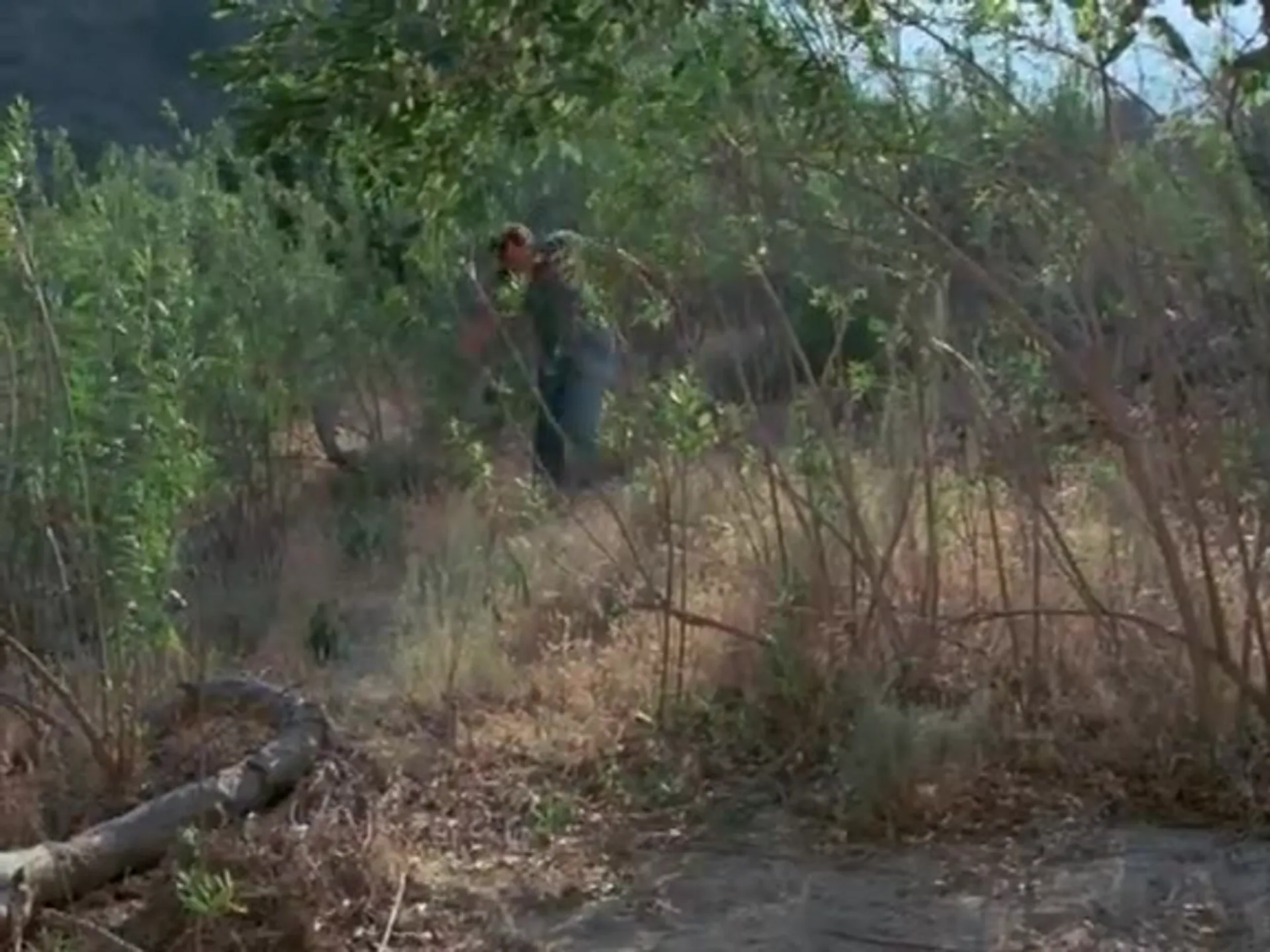 Dark Night of the Scarecrow scene still 1