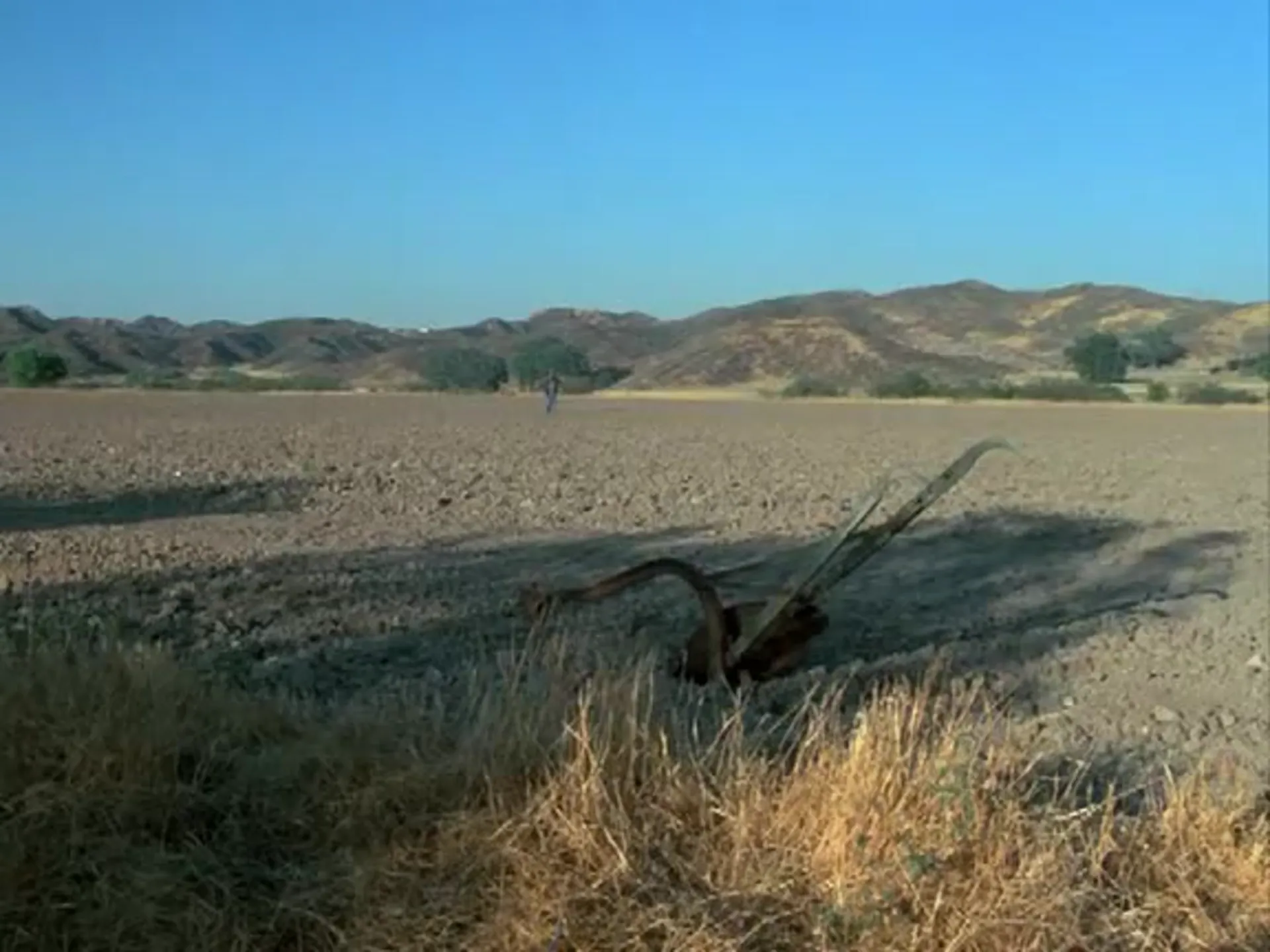 Dark Night of the Scarecrow scene still 5