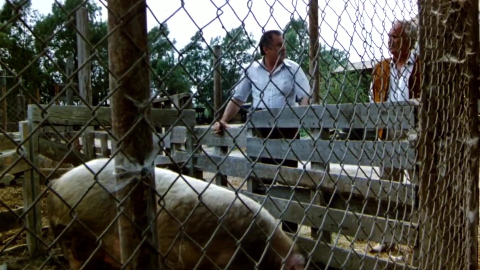 Slaughterhouse scene still 3