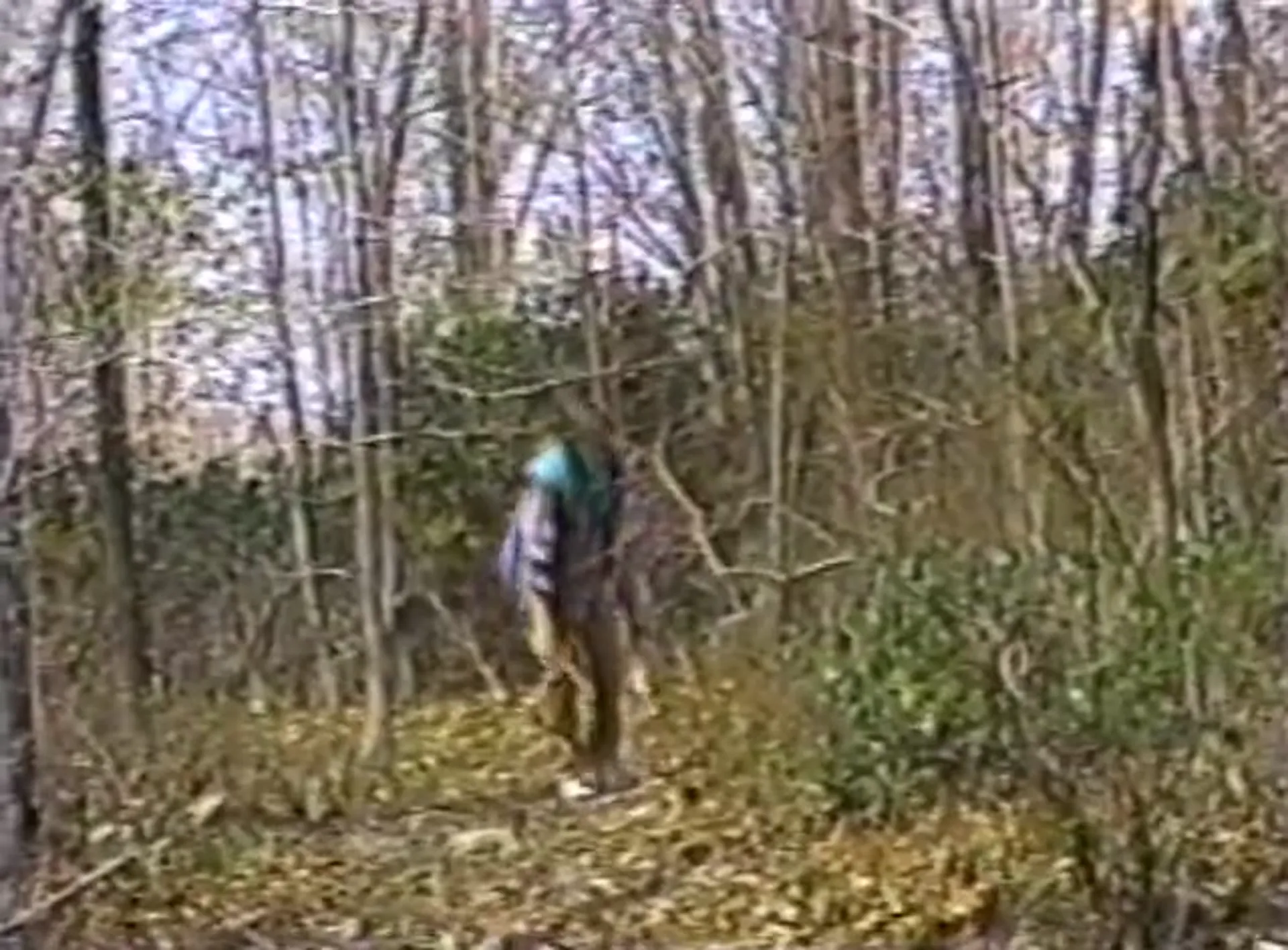 Cannibal Campout scene still 4