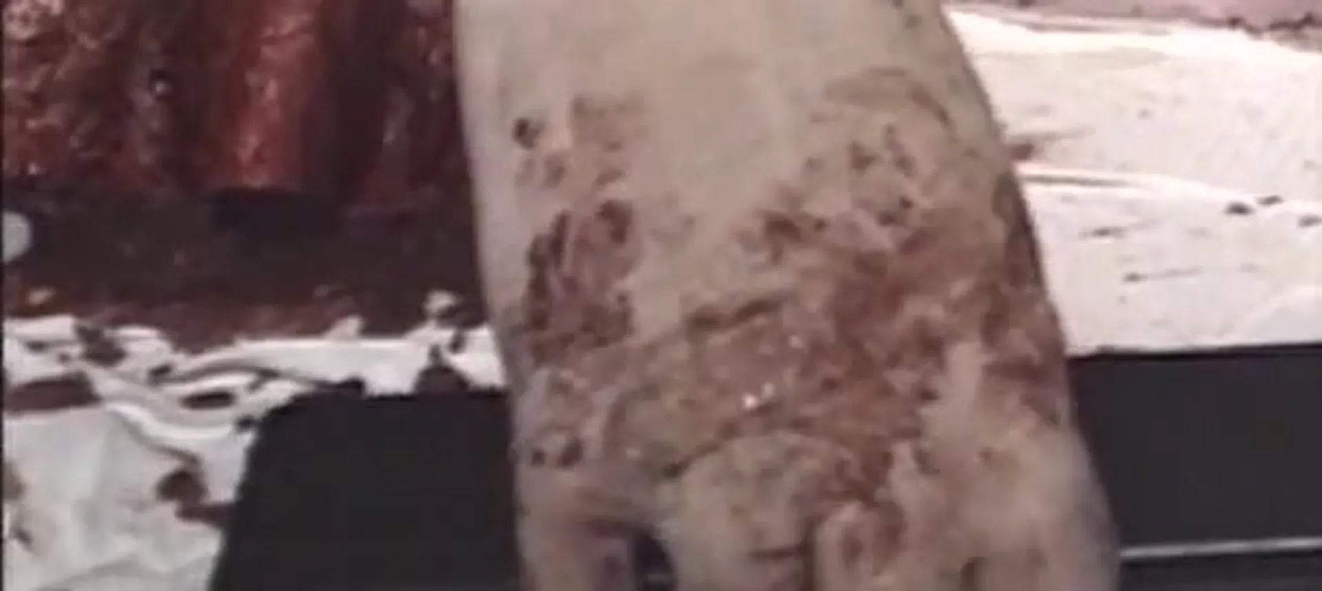 Violent Shit 3 - Infantry of Doom scene still 1