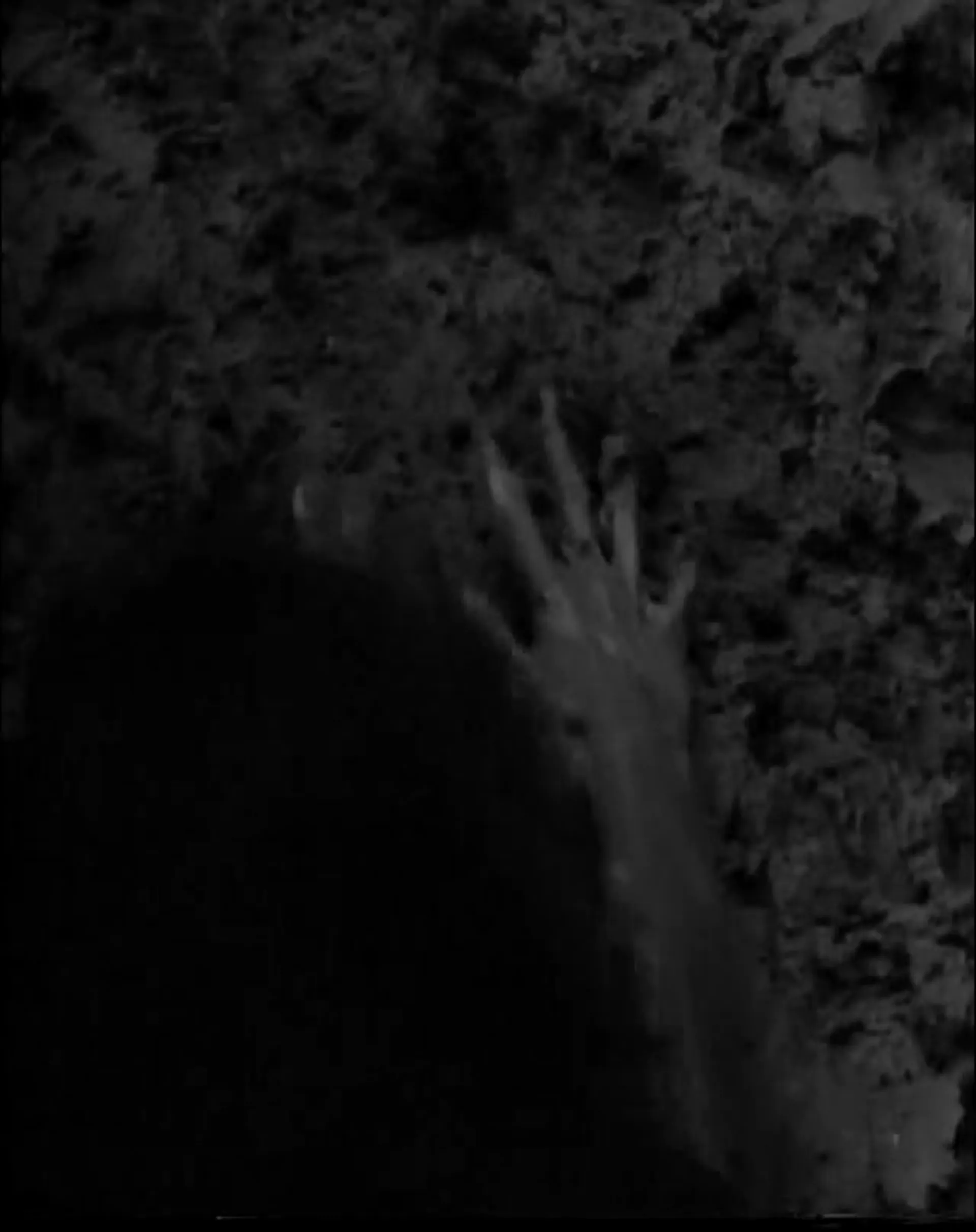 Bayou scene still 3