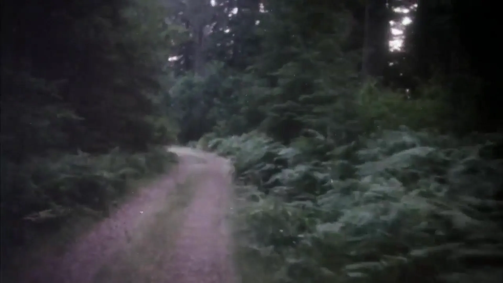 Just Before Dawn scene still 1
