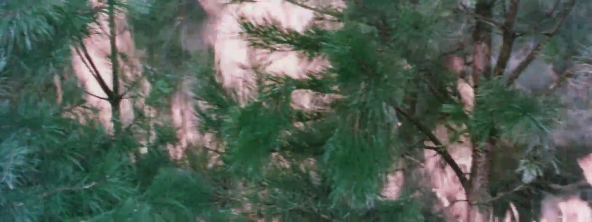 Whiskey Mountain scene still 3
