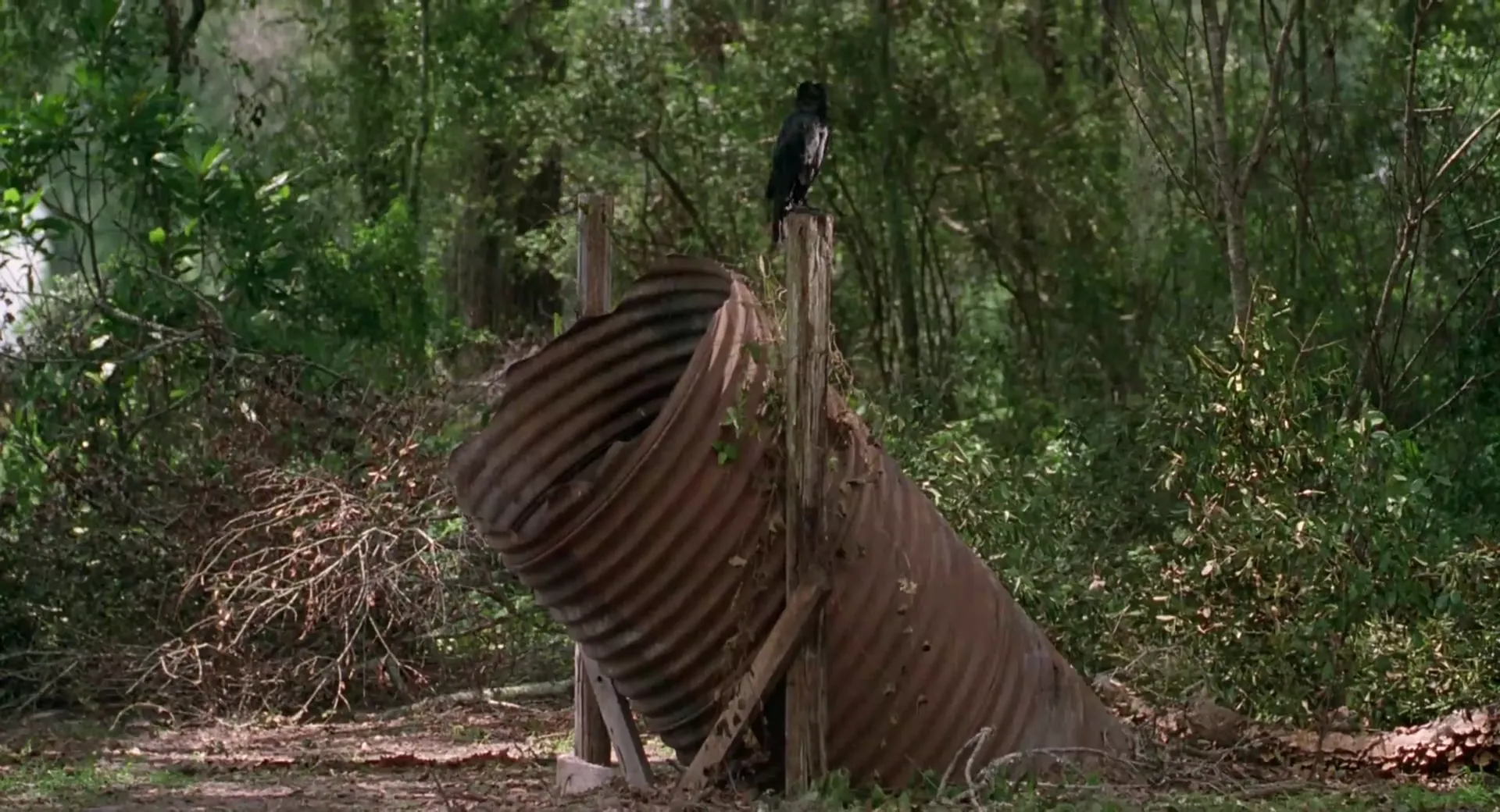 Jeepers Creepers scene still 2