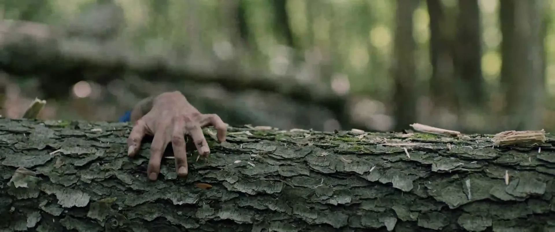 Wrong Turn scene still 2
