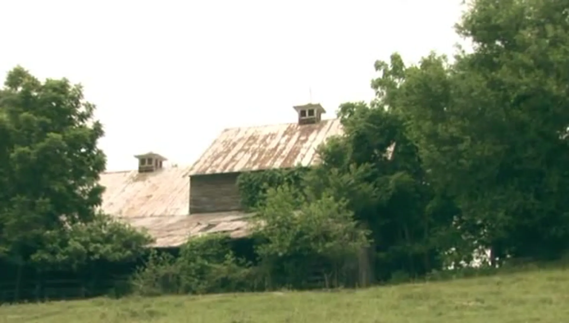 Carver scene still 3
