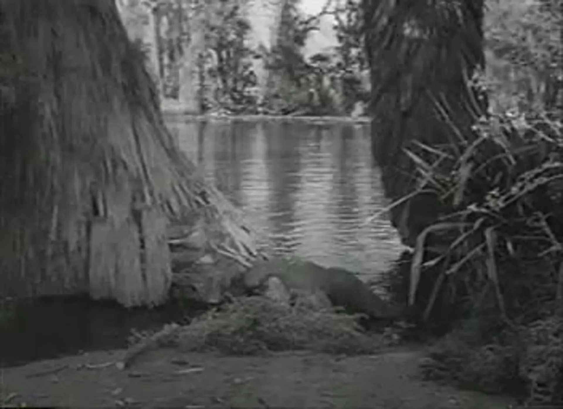 Cannibal Attack scene still 1