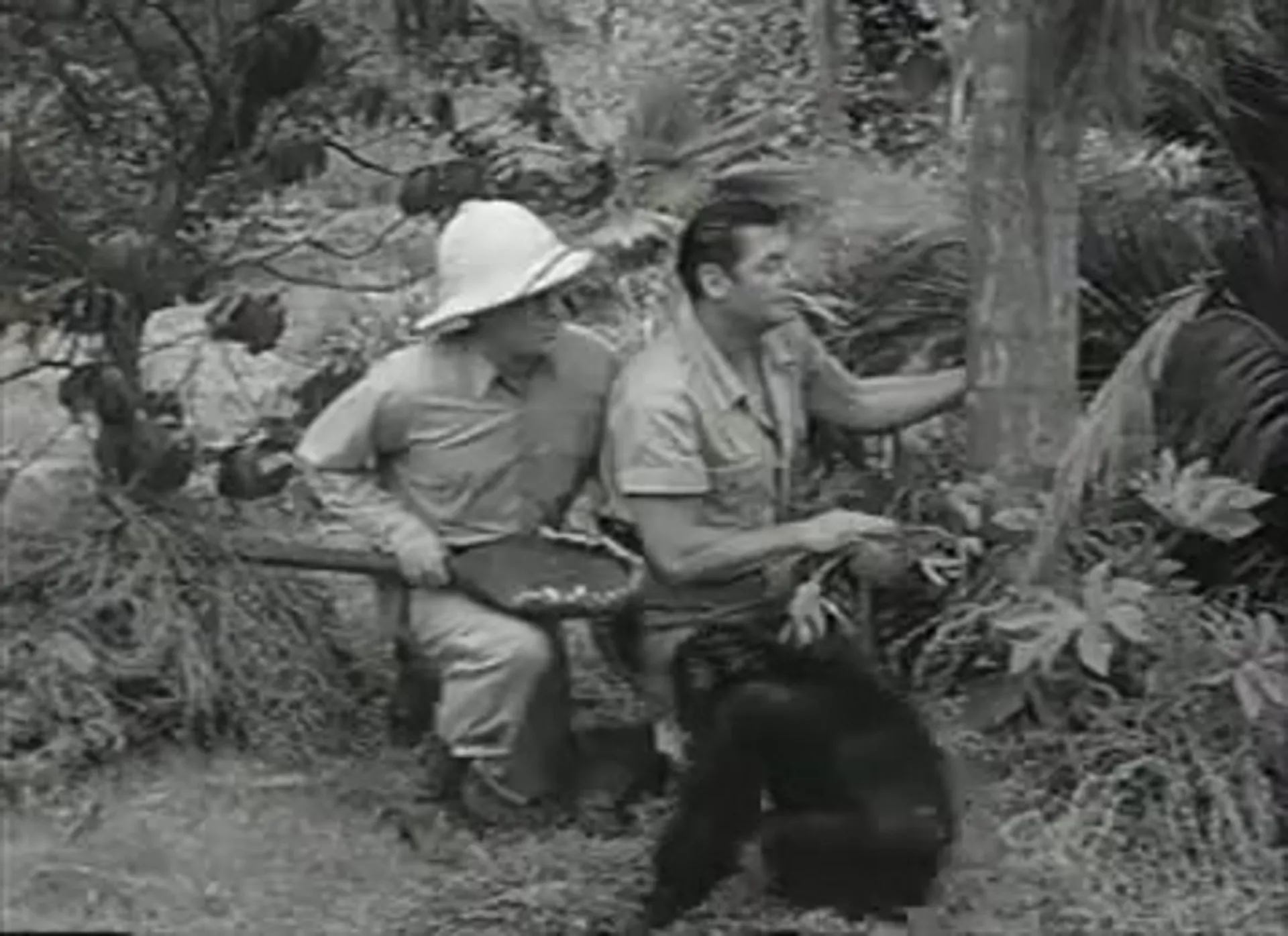 Cannibal Attack scene still 5