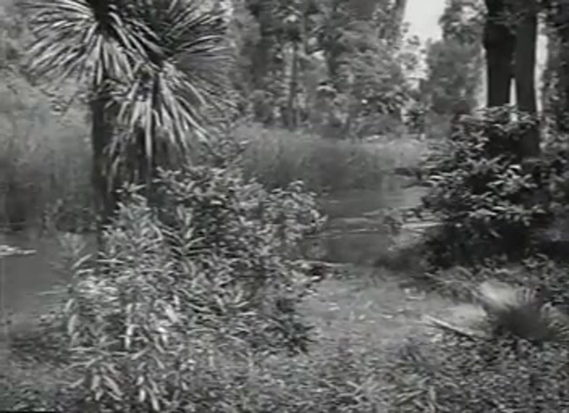 Cannibal Attack scene still 2