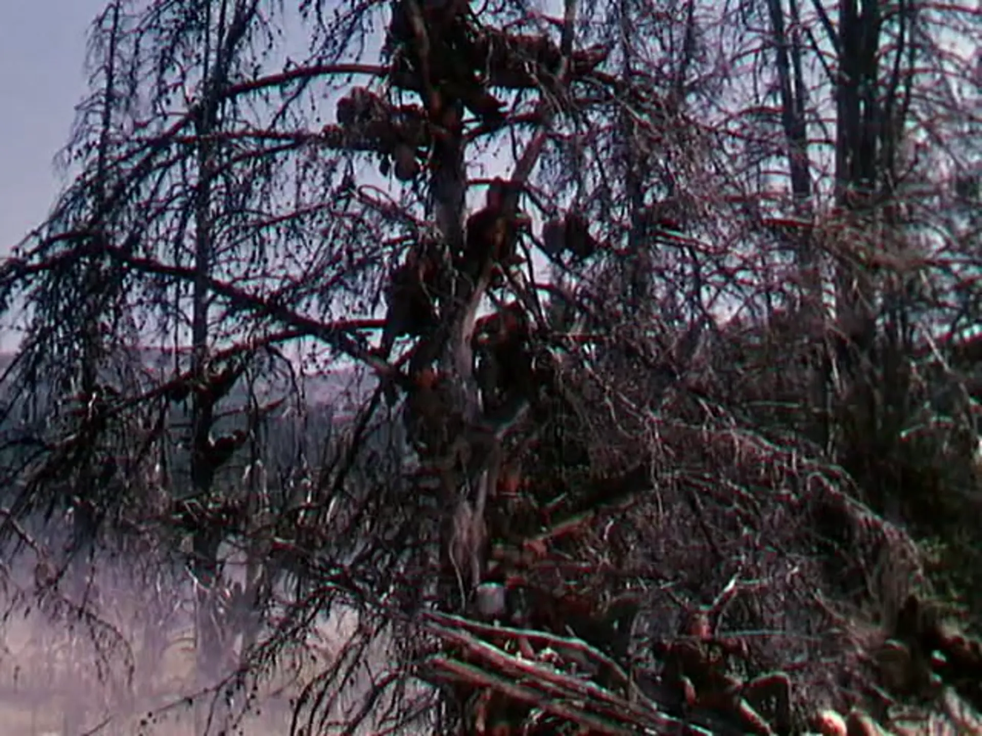 Northwest Passage scene still 5