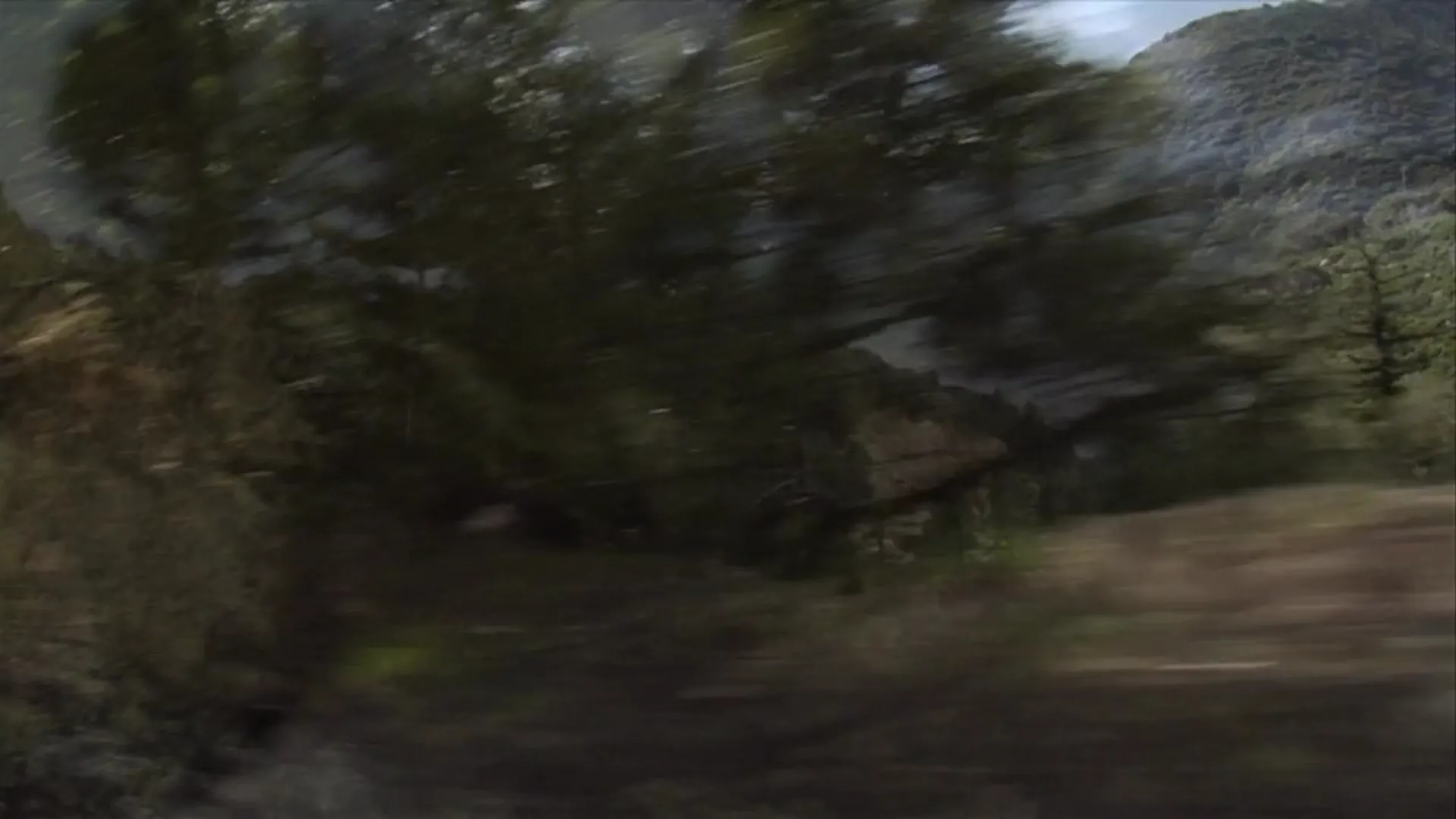 Run! Bitch Run! scene still 5