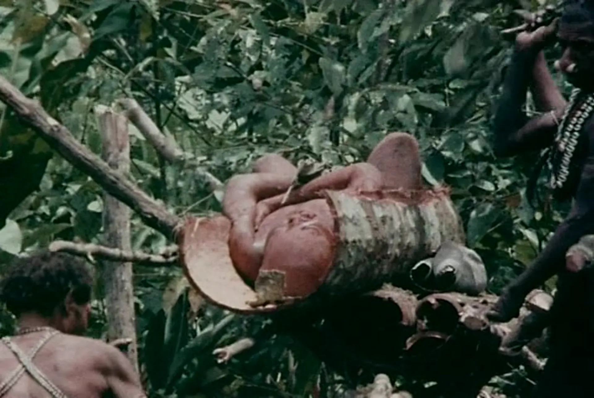 New Guinea: Island of Cannibals scene still 1