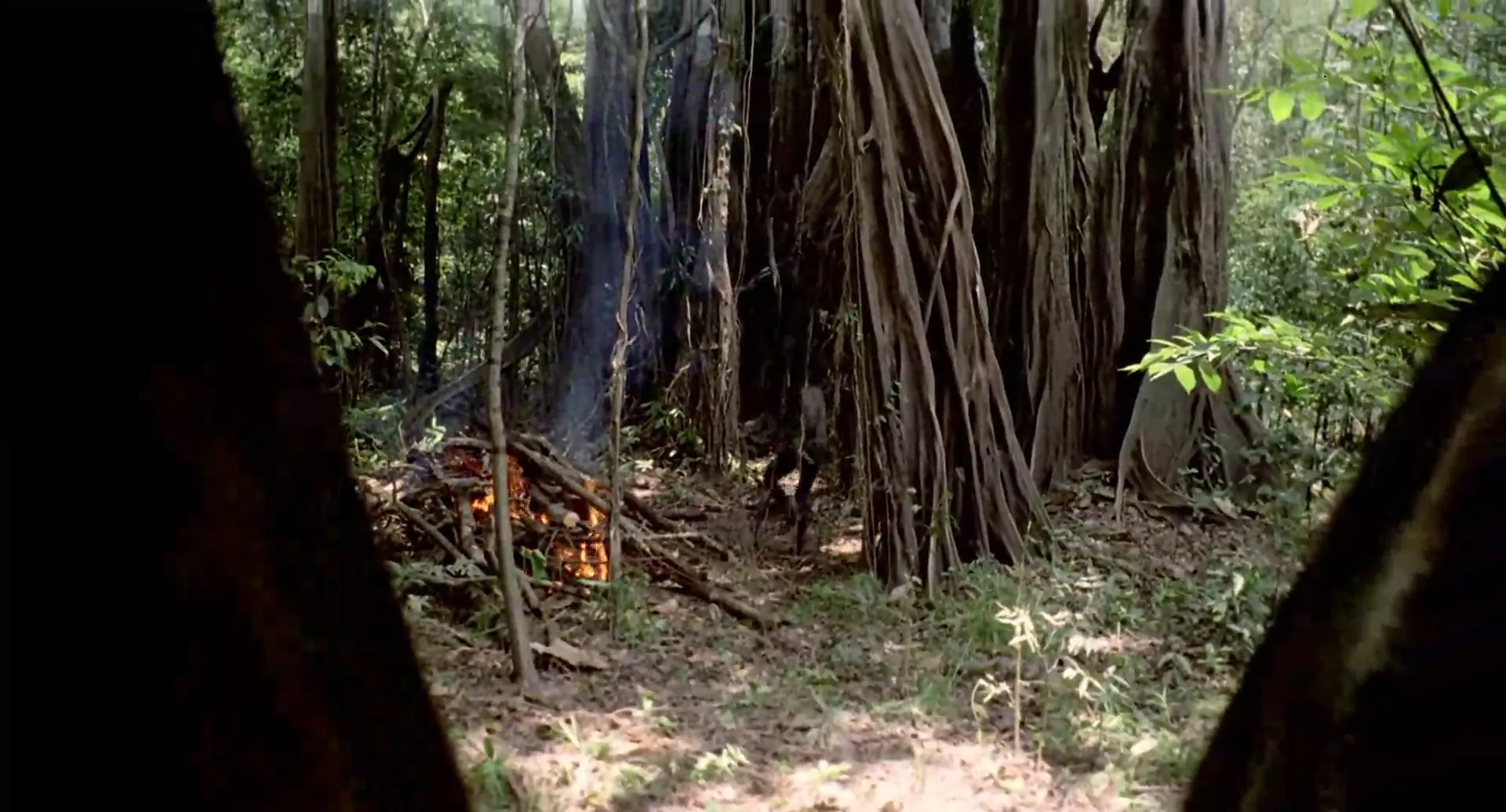 Cannibal Holocaust scene still 4