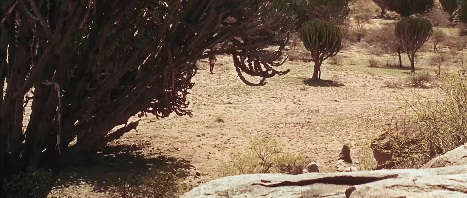 The Naked Prey scene still 4