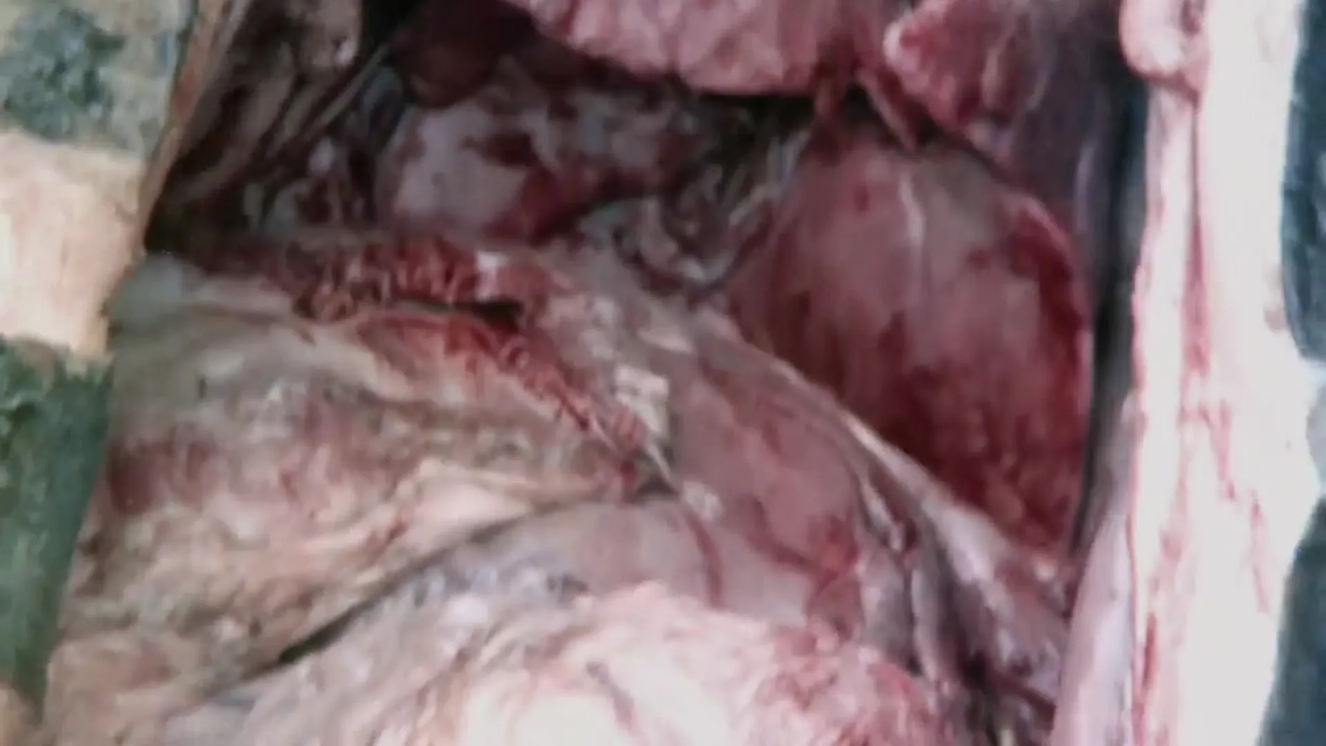 Hell of the Living Dead scene still 5