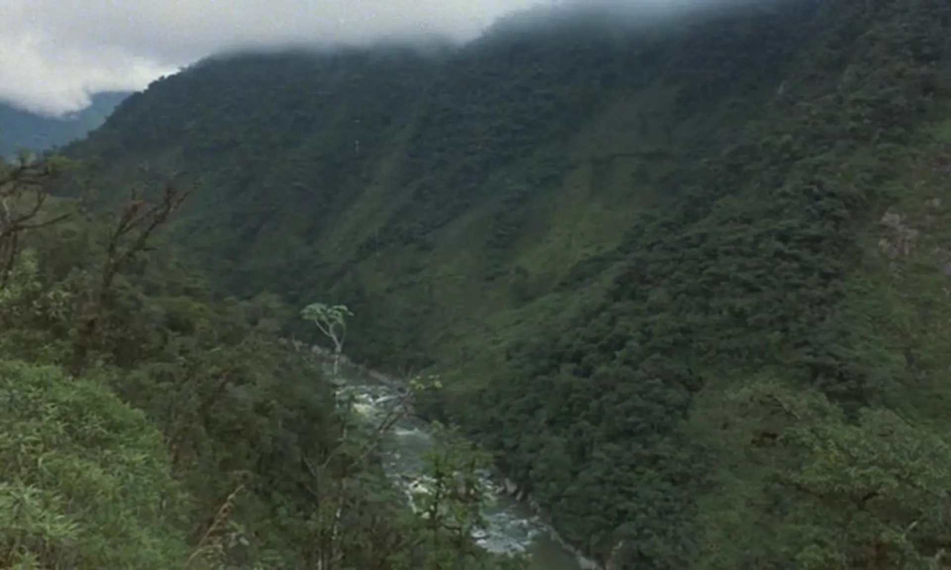 Mystery on Monster Island scene still 3
