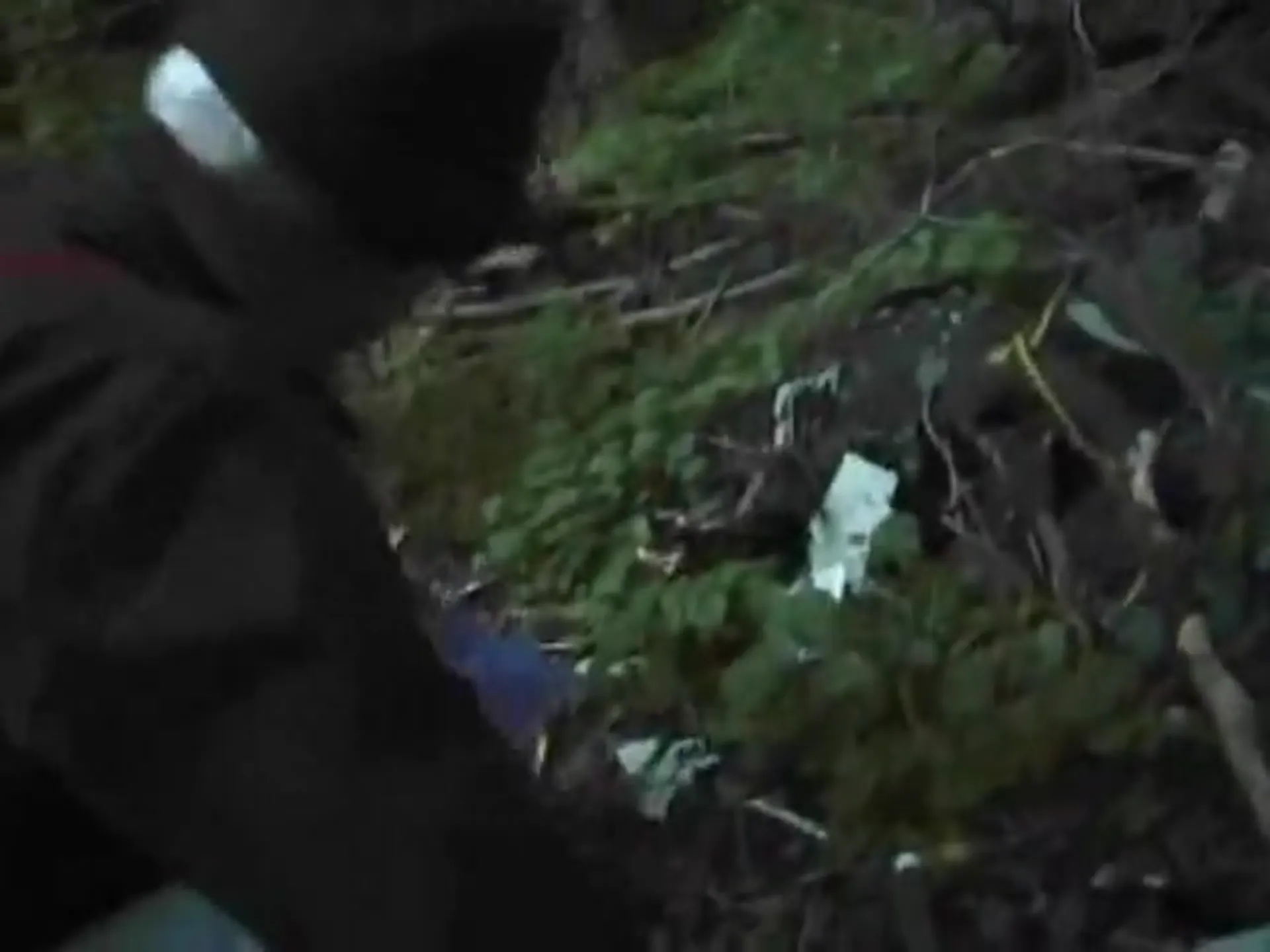 Kill Them and Eat Them scene still 6