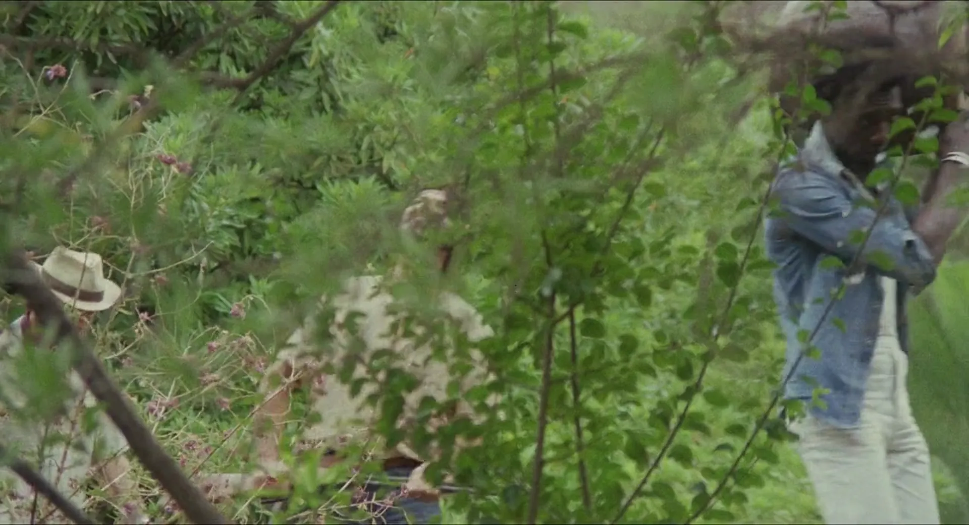 Diamonds of Kilimandjaro scene still 4