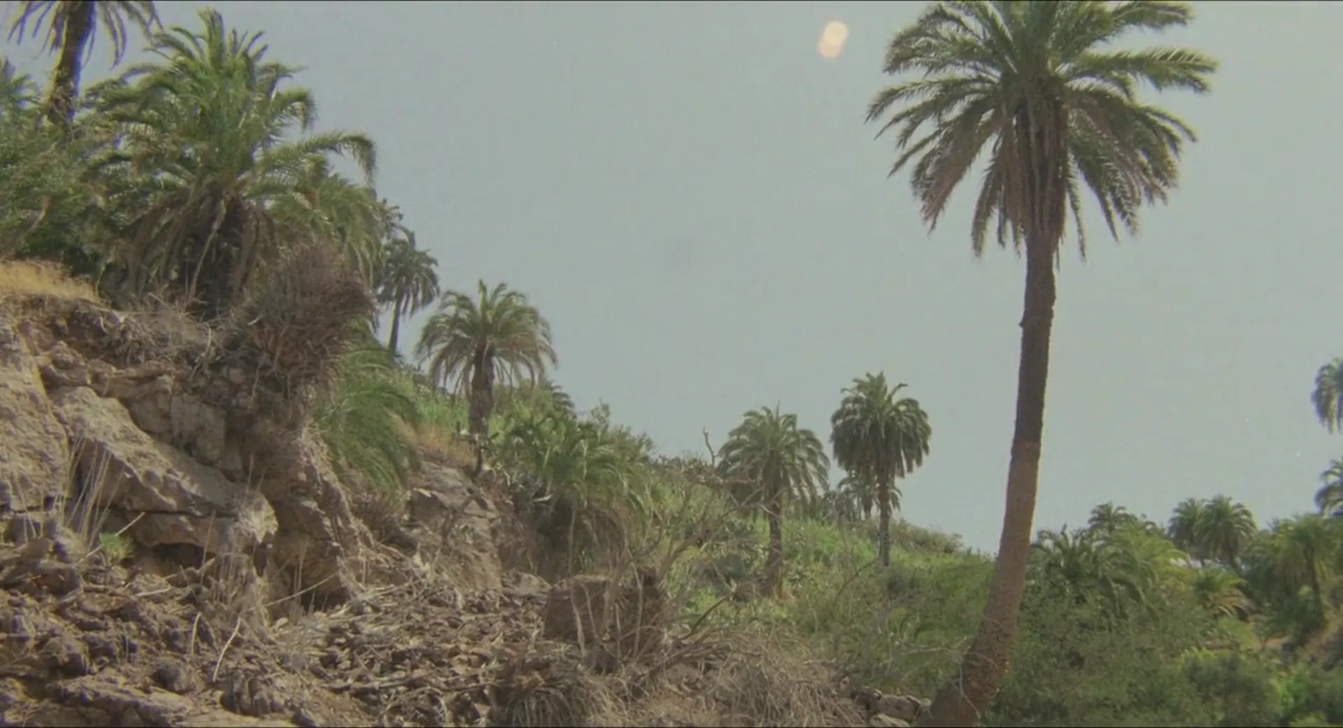 Diamonds of Kilimandjaro scene still 5