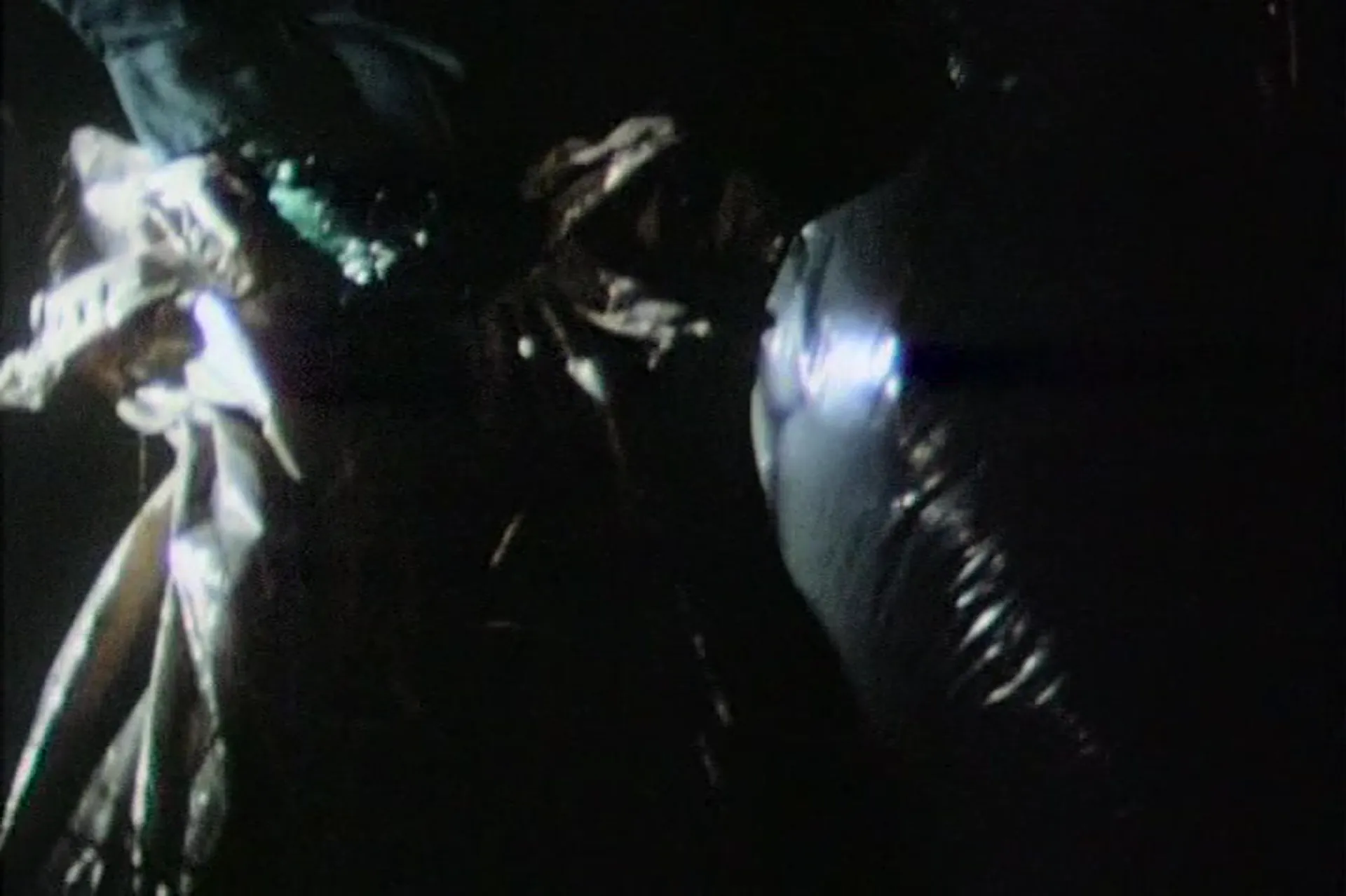The Long Island Cannibal Massacre scene still 3