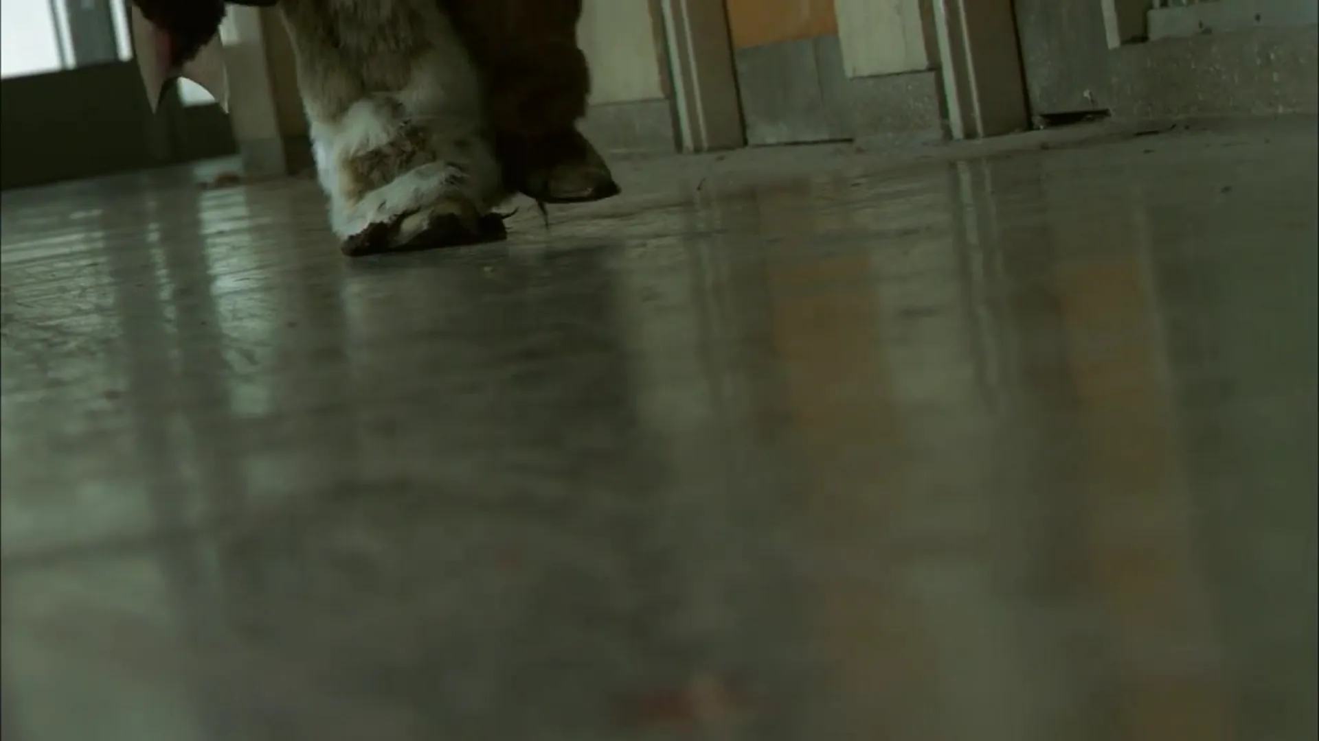 Tooth and Nail scene still 4