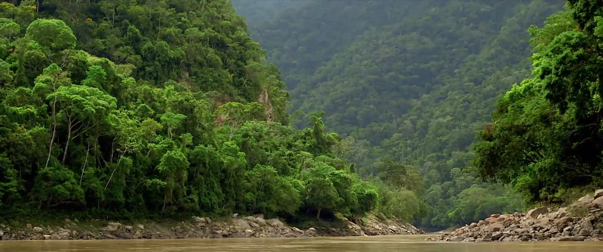 The Green Inferno scene still 3