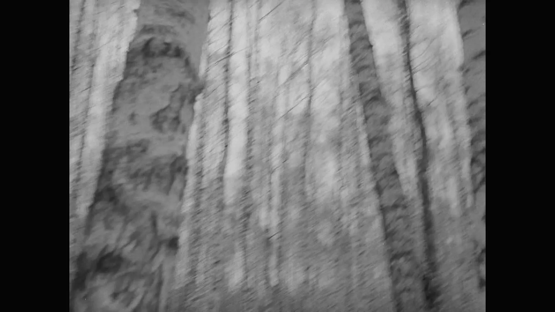 Ivan's Childhood scene still 6