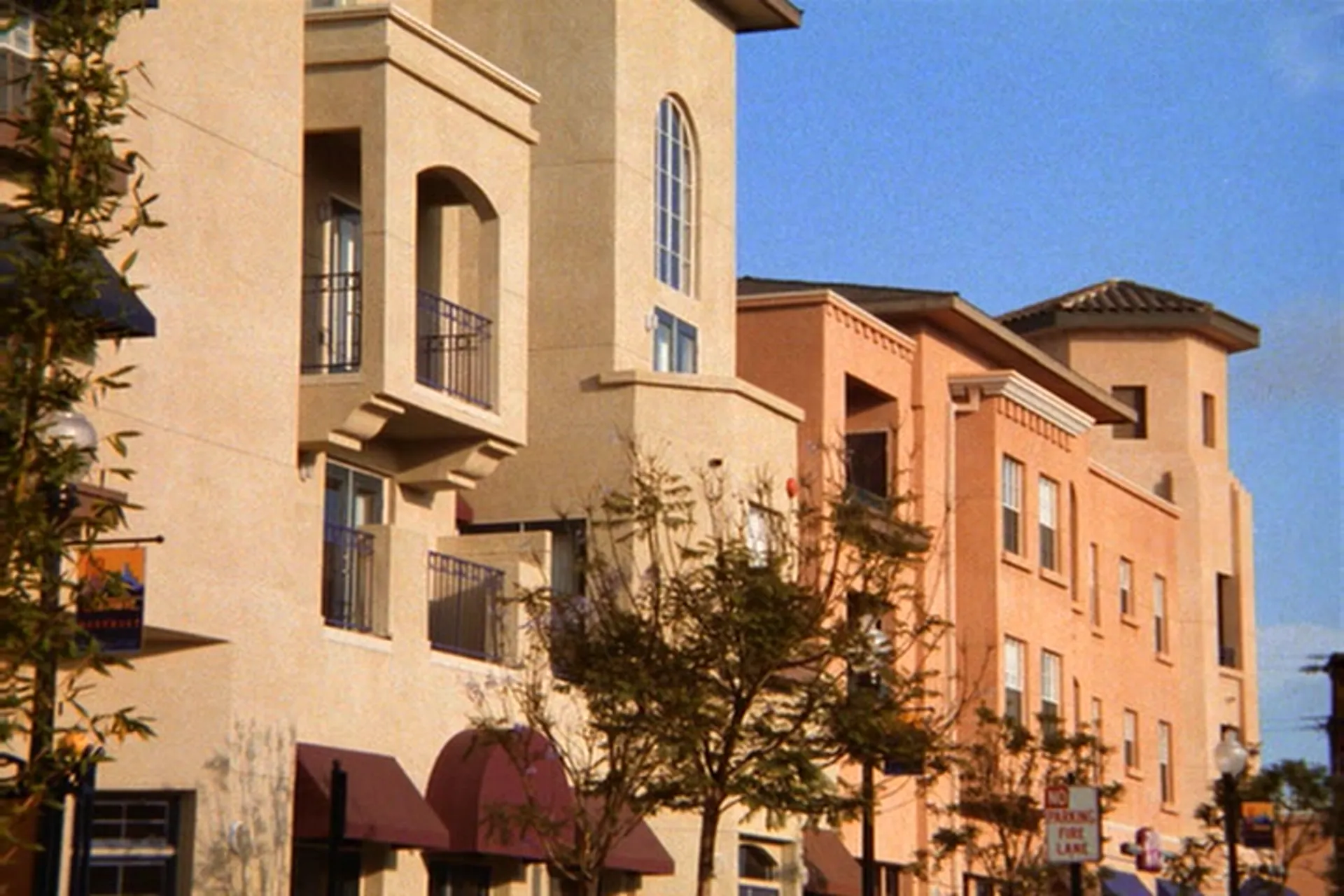 Killer Tomatoes Strike Back! scene still 3