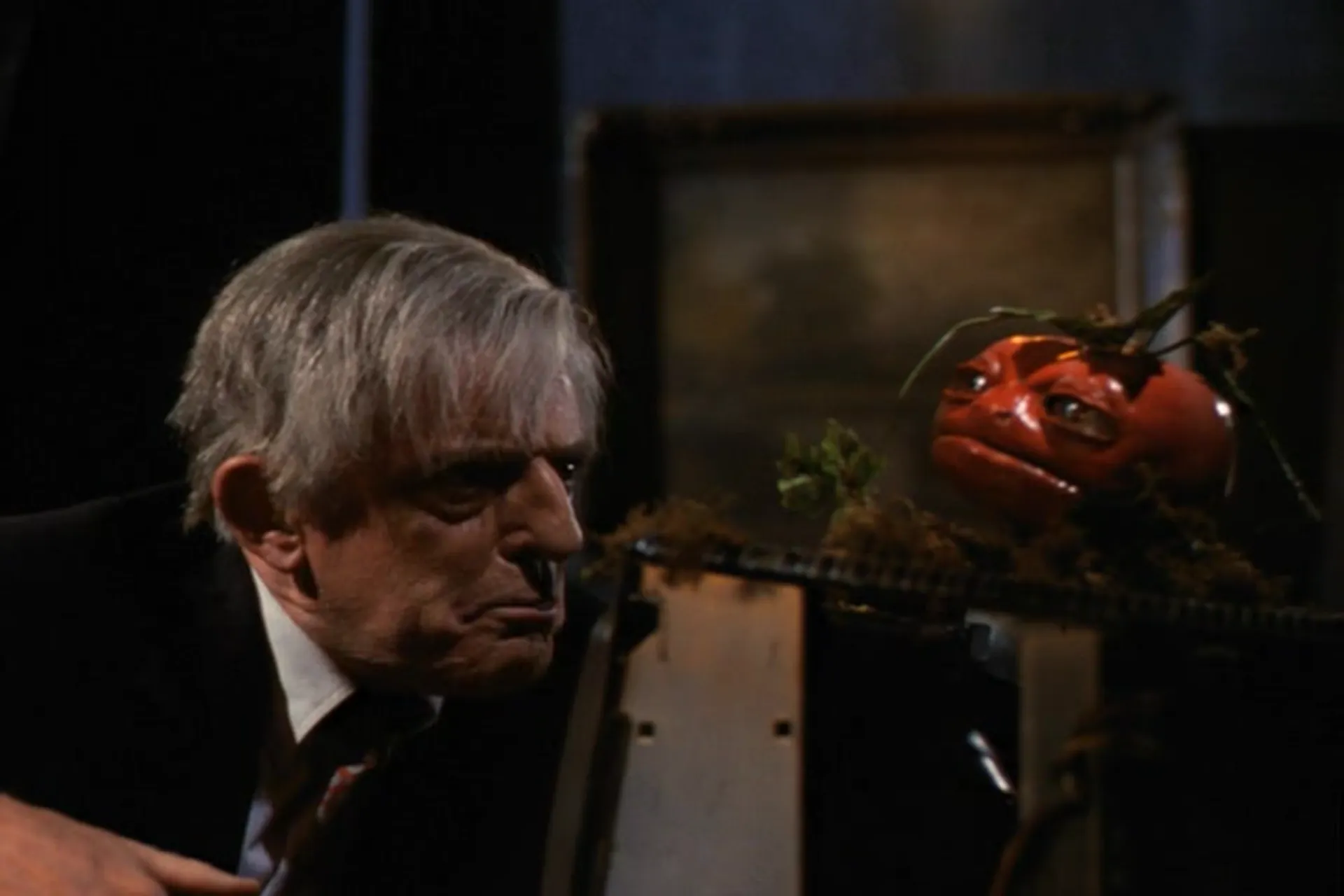 Killer Tomatoes Strike Back! scene still 4