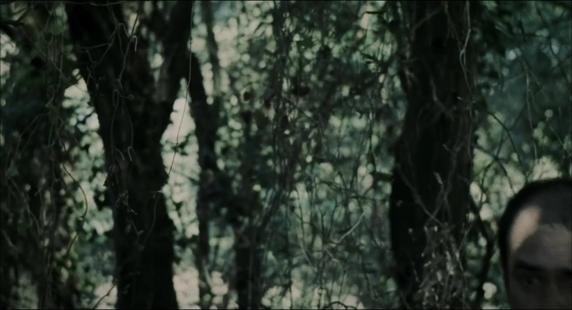Timecrimes scene still 1