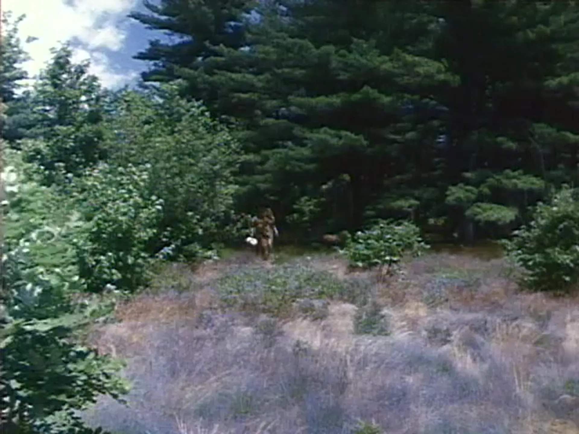 A Nymphoid Barbarian in Dinosaur Hell scene still 2
